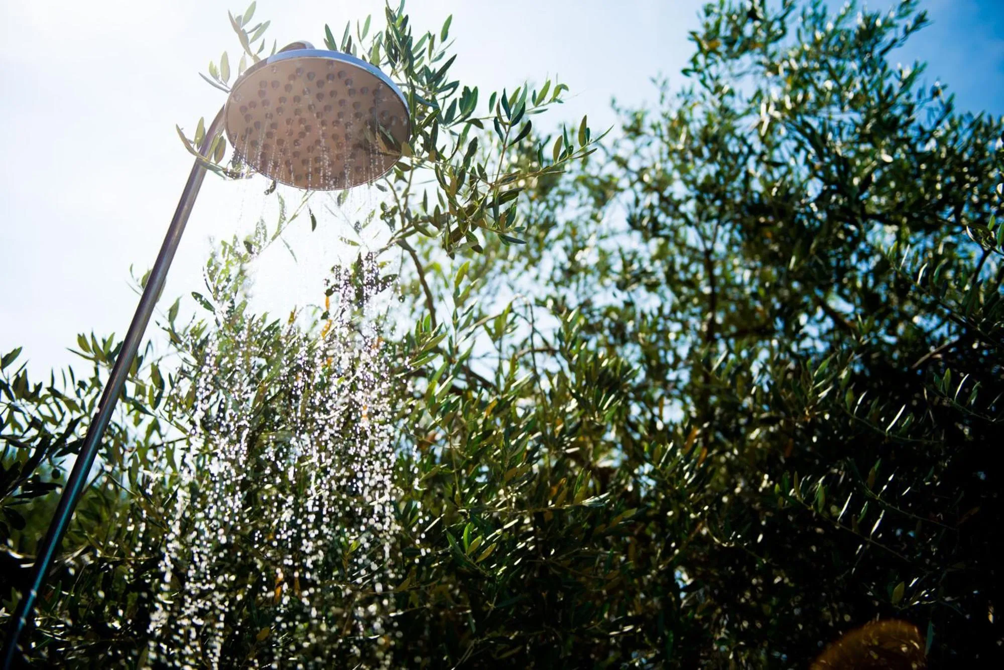 Summer in Hotel Torricella