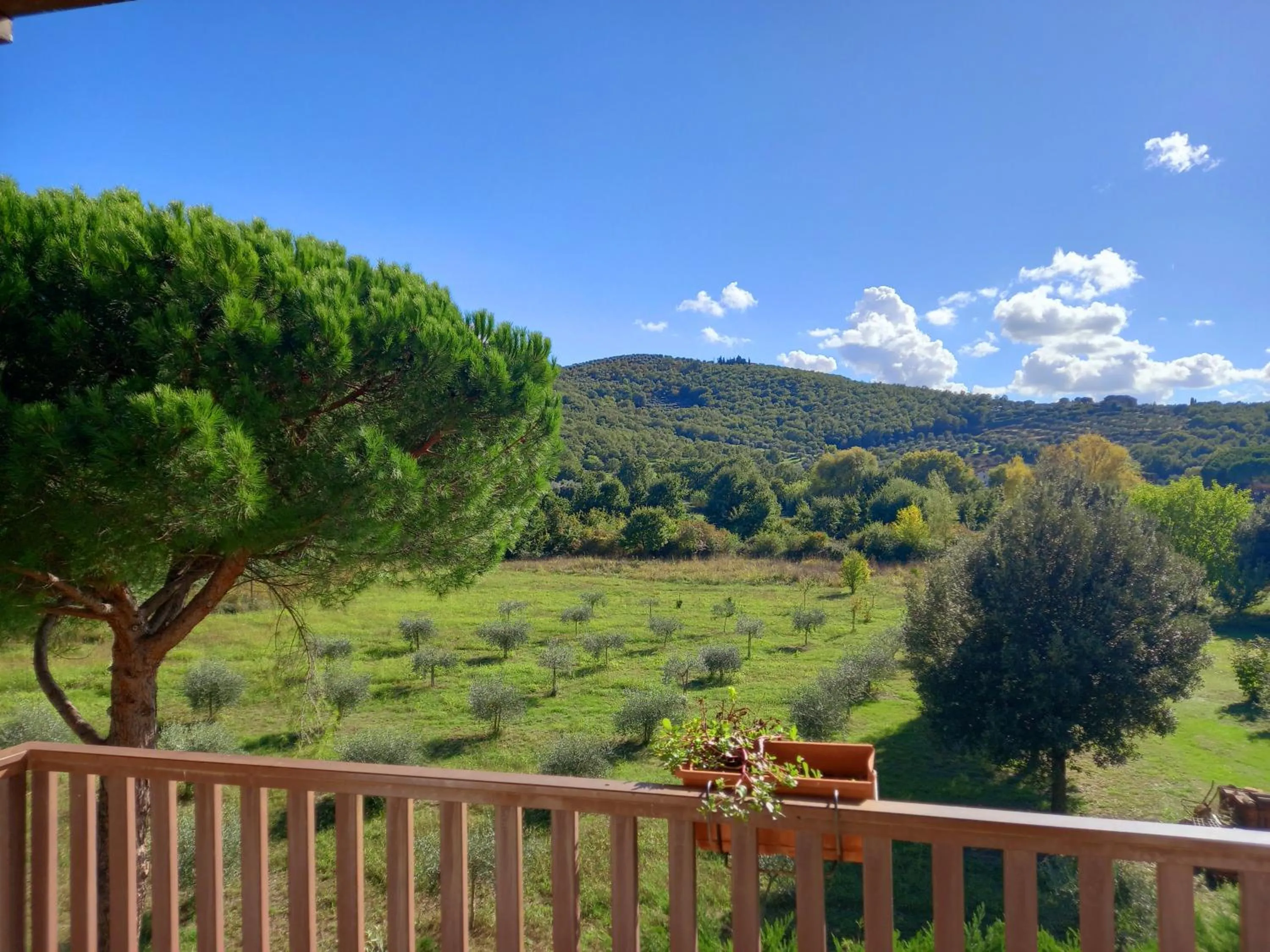 View (from property/room) in Hotel Torricella