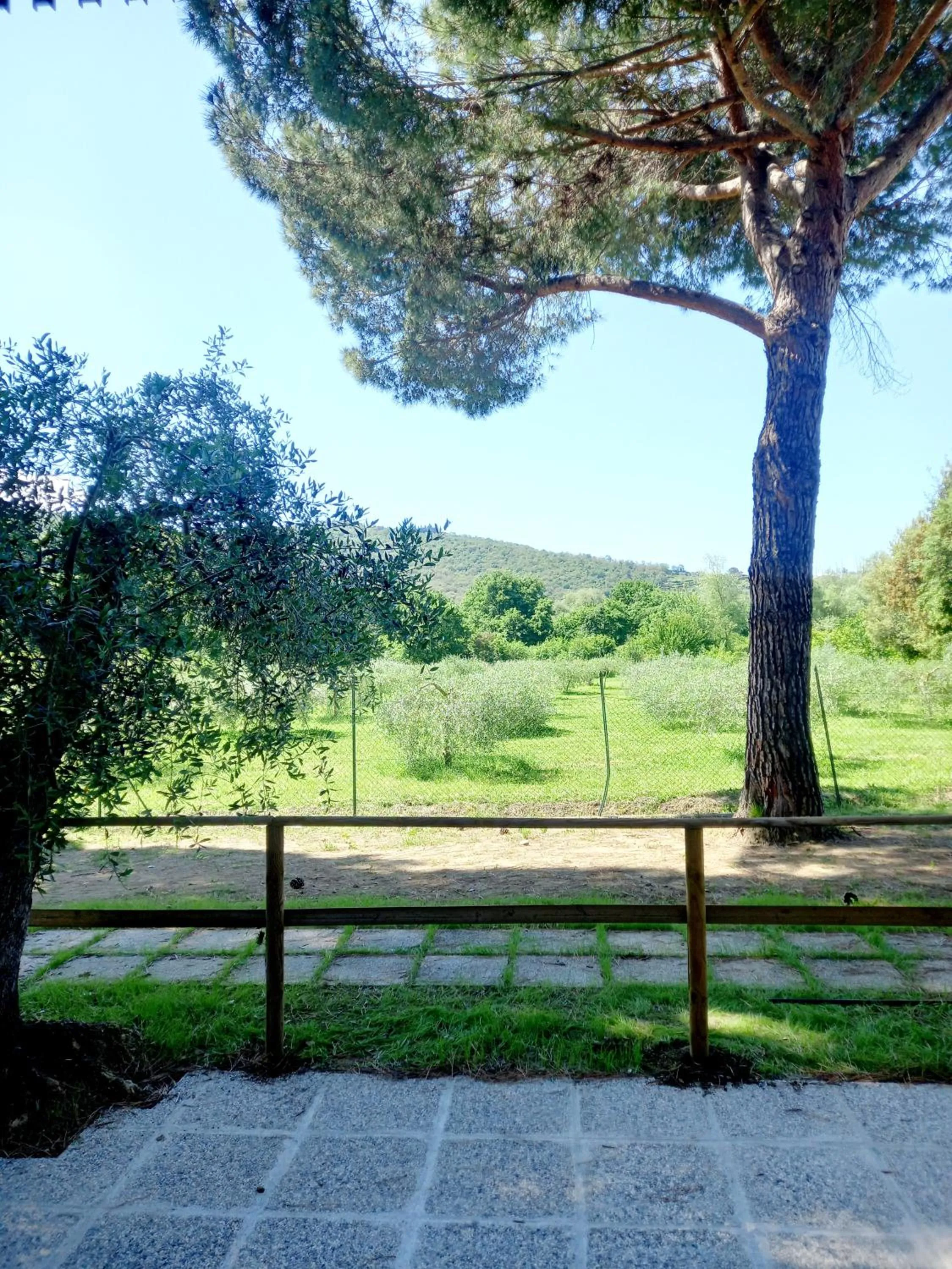 Garden view in Hotel Torricella