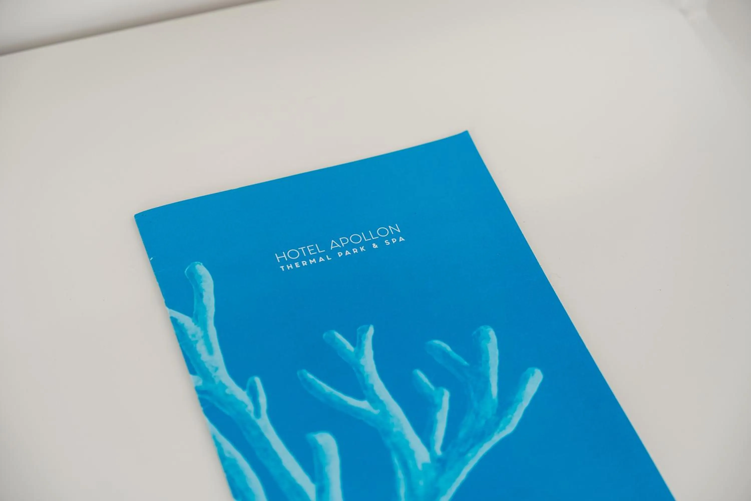 Decorative detail in Apollon Club & Thermal Spa