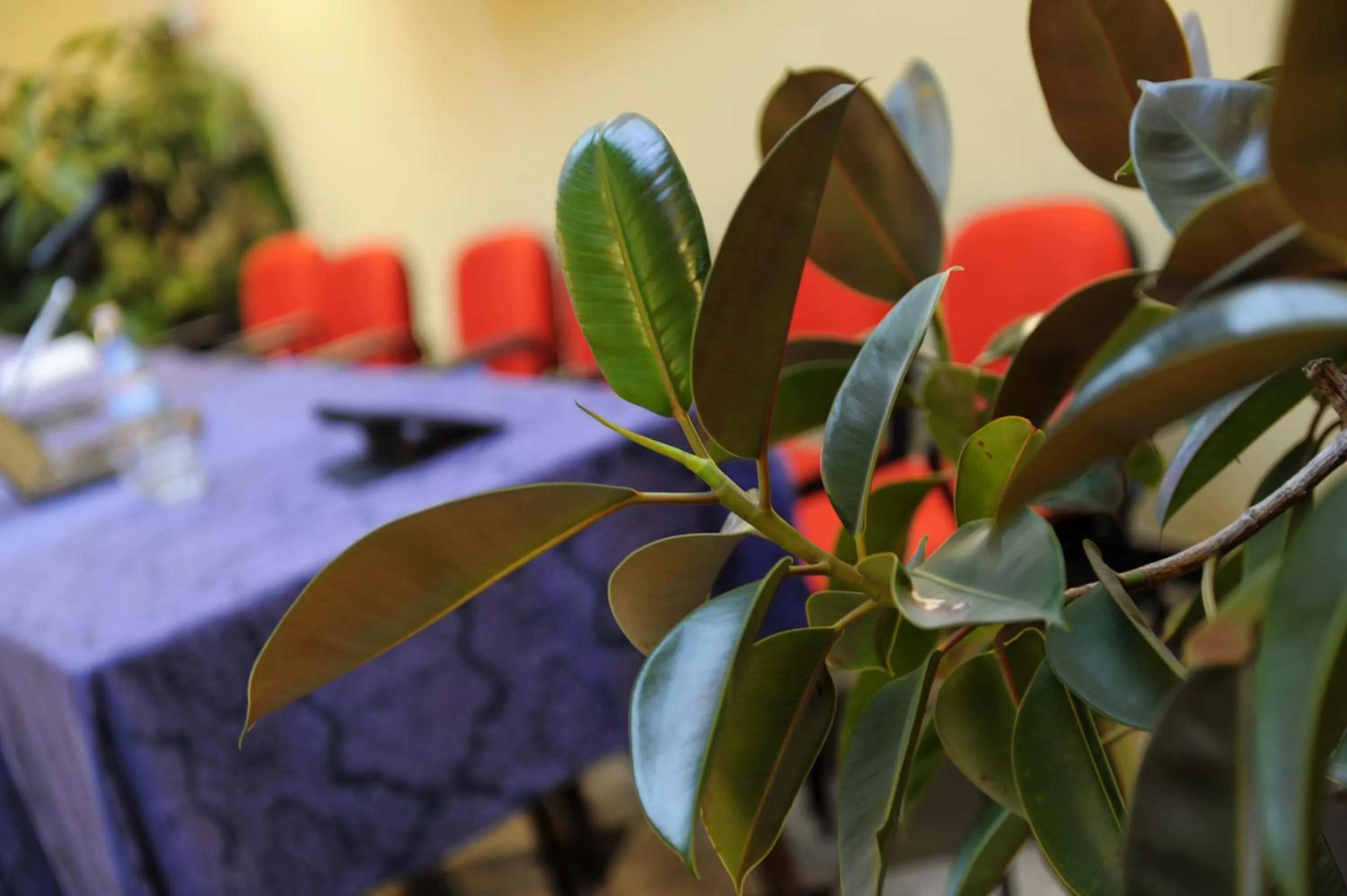 Business facilities in Hotel Bertusi