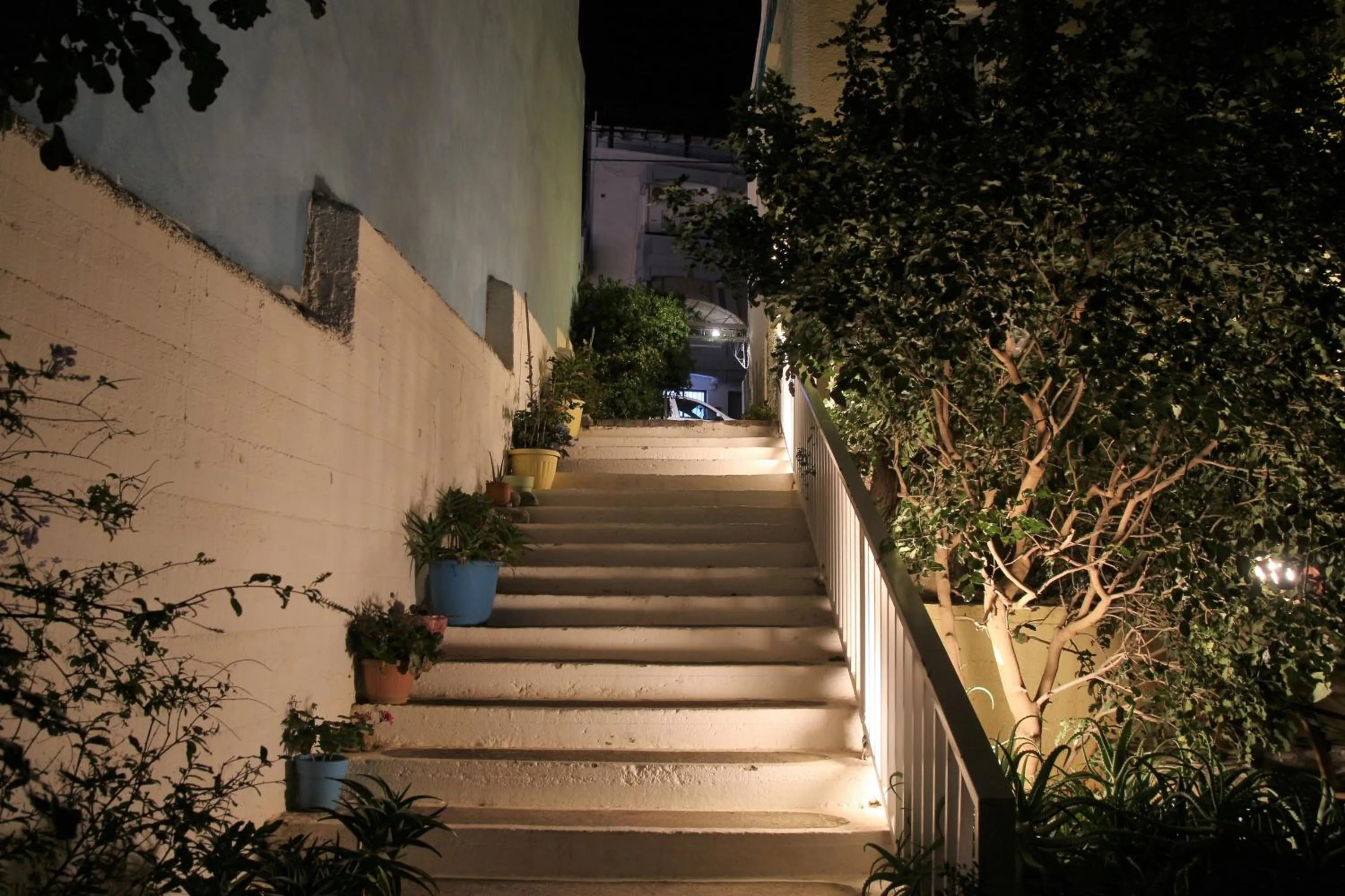 Garden view in Galini Mare