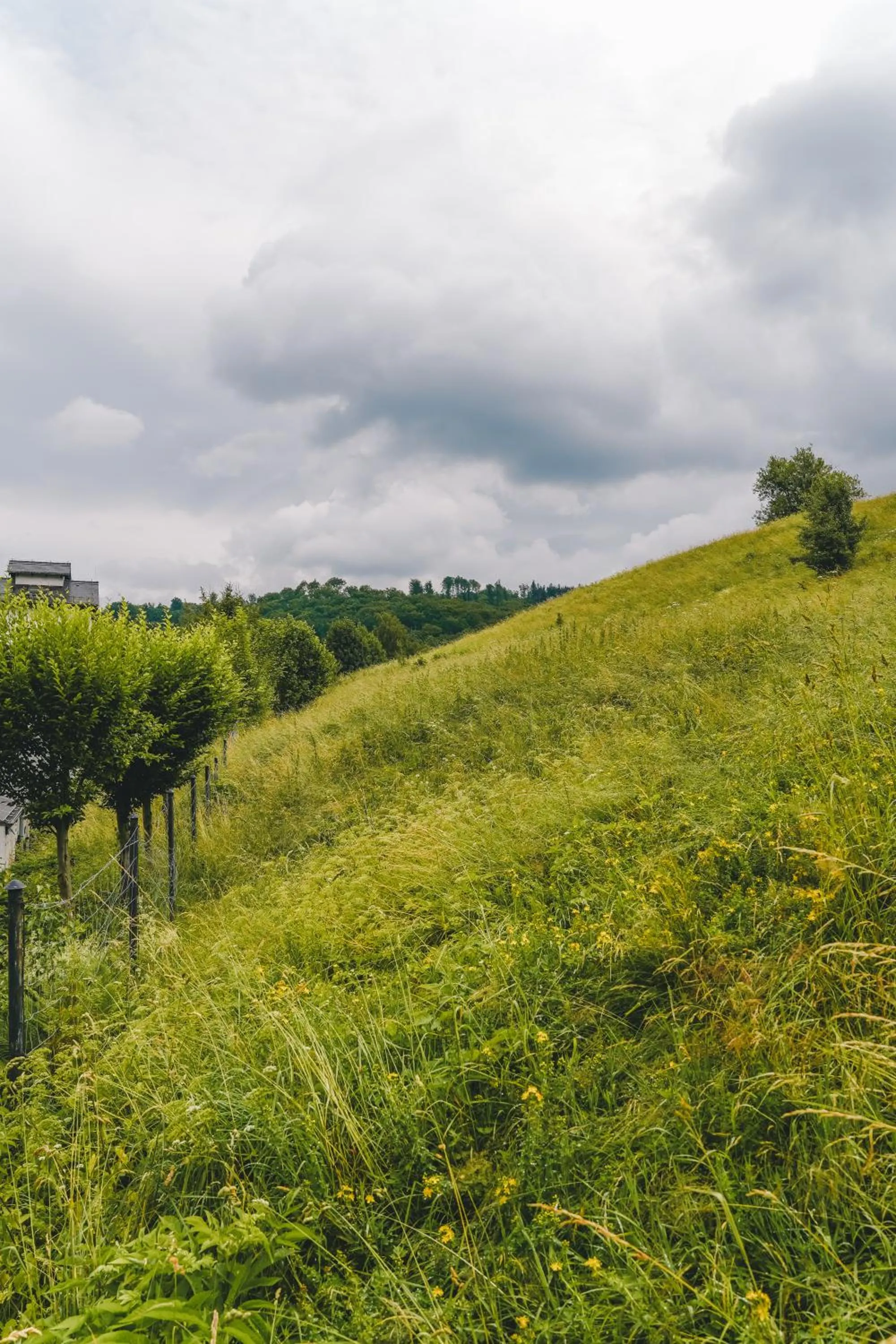 Hotel Pałac Jugowice