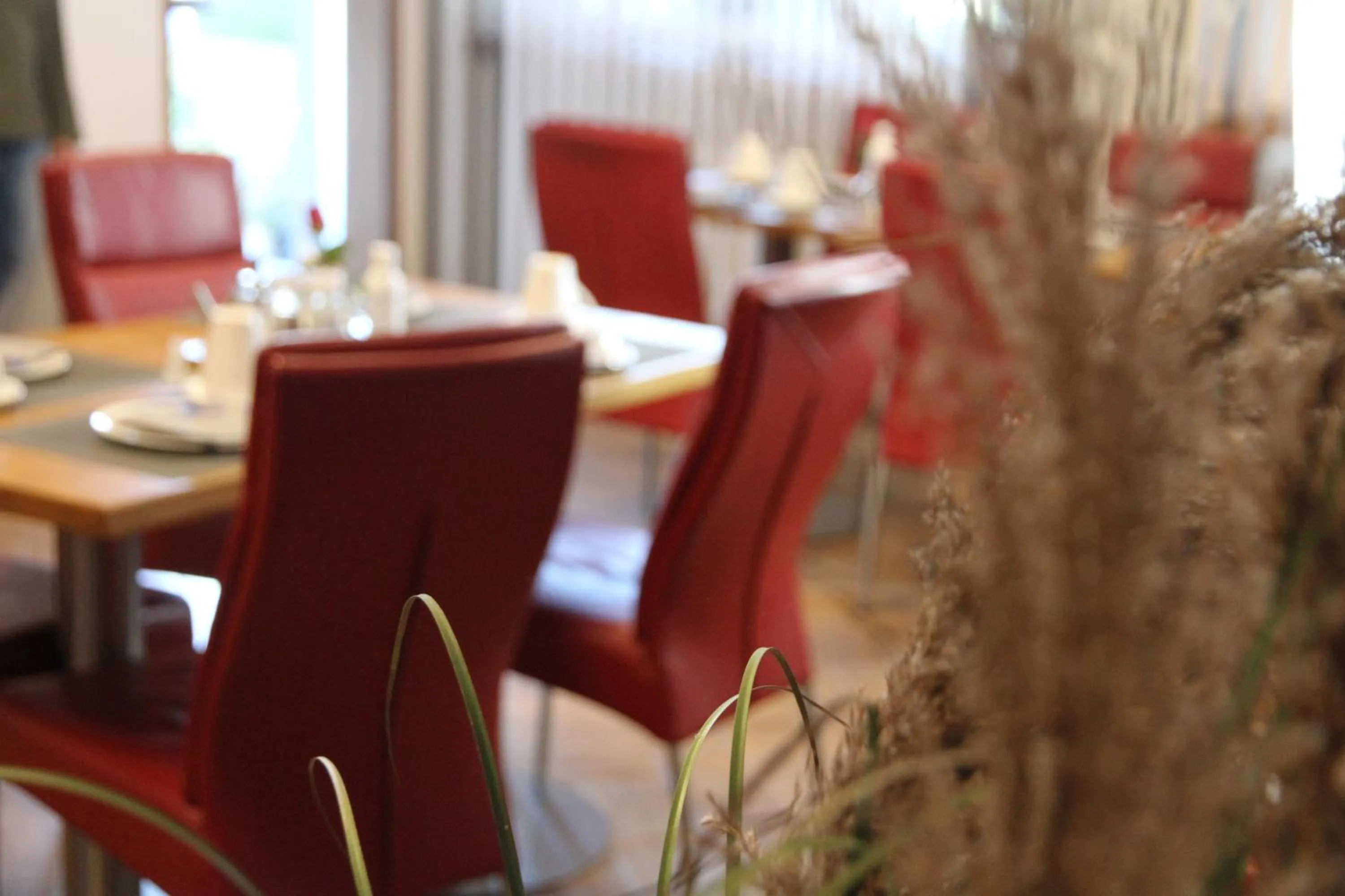 Restaurant/places to eat in Goldener Stern