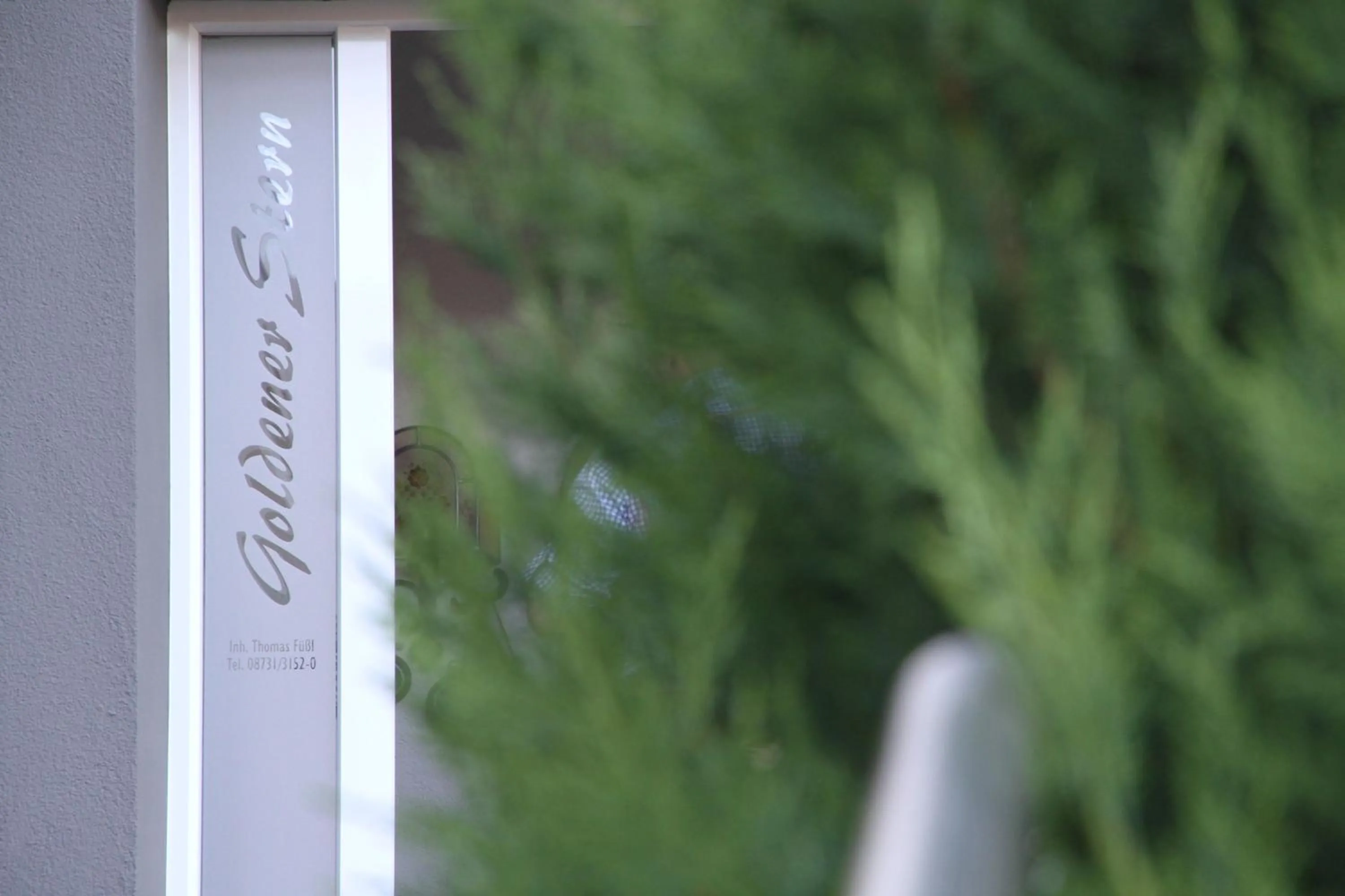 Logo/Certificate/Sign in Goldener Stern