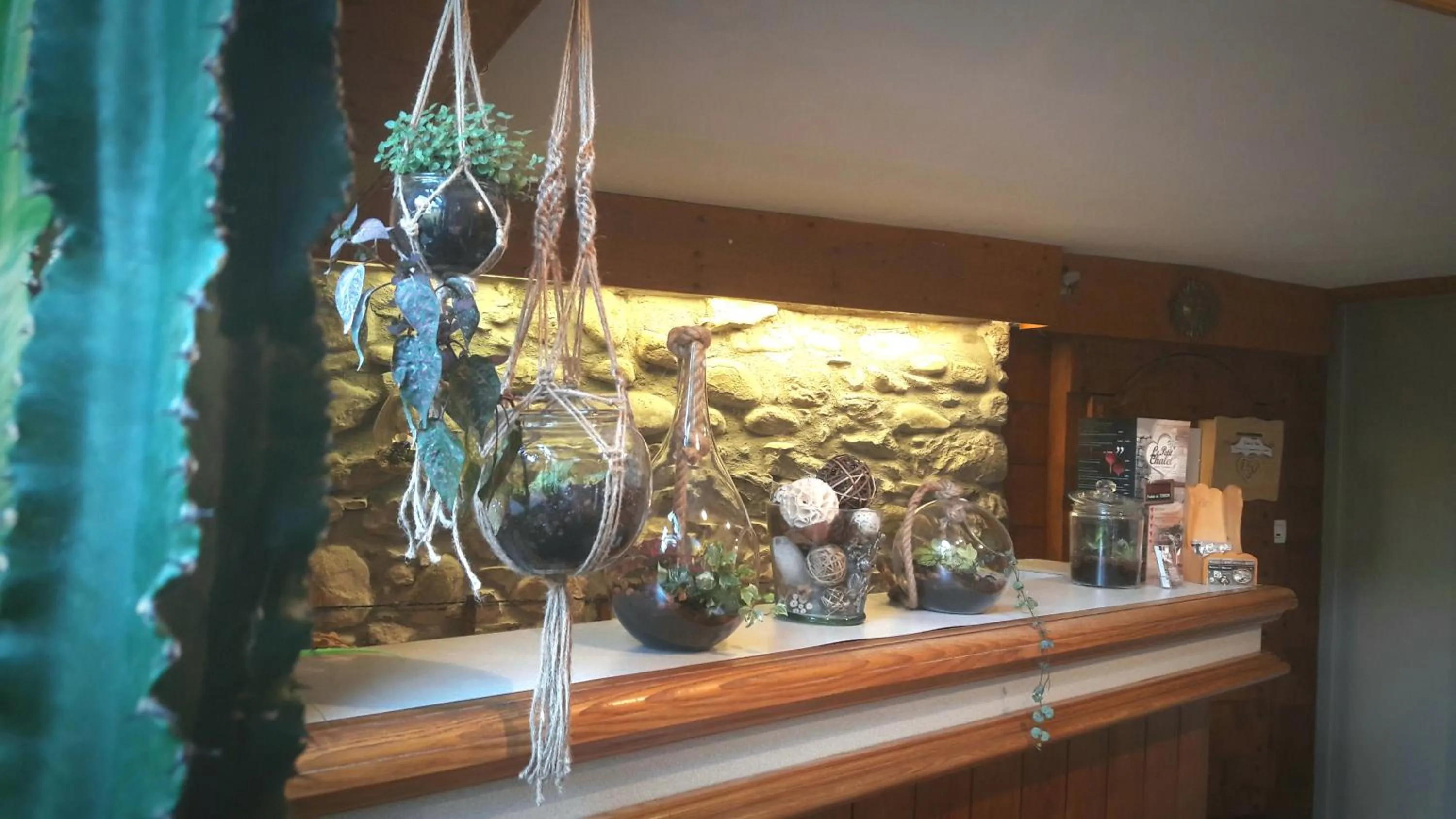 Lobby or reception in Hôtel Du Midi