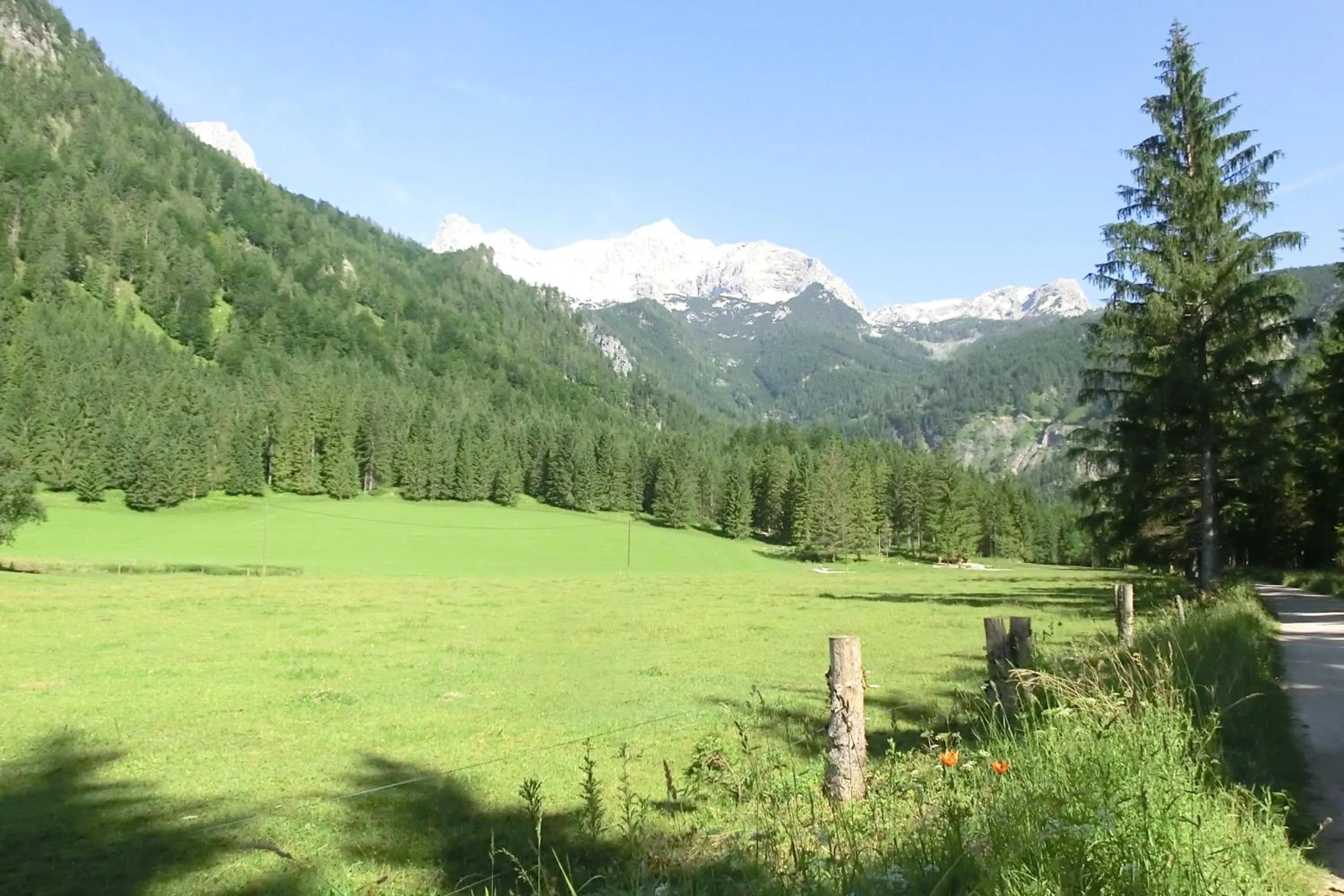 Natural landscape in Hotel garni Landhaus Bürtlmair