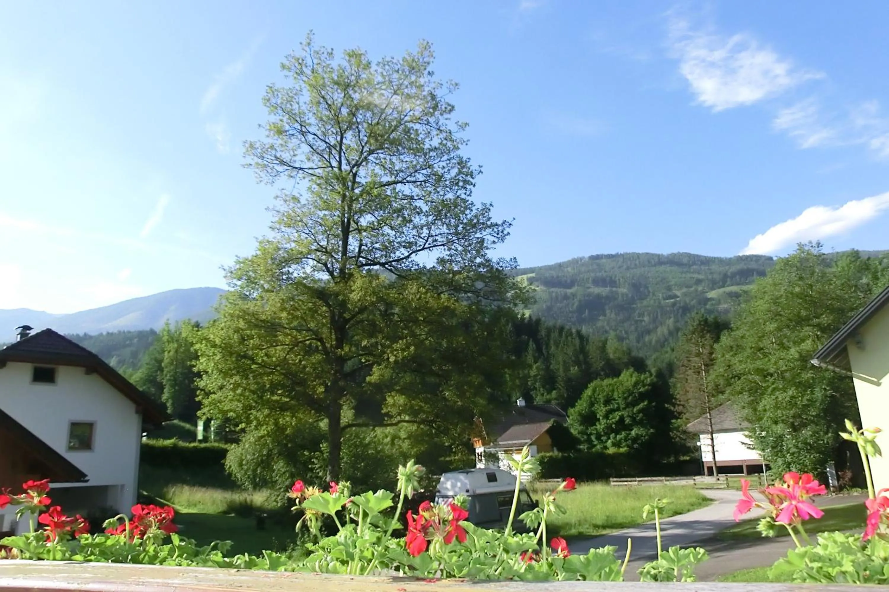 View (from property/room) in Hotel garni Landhaus Bürtlmair