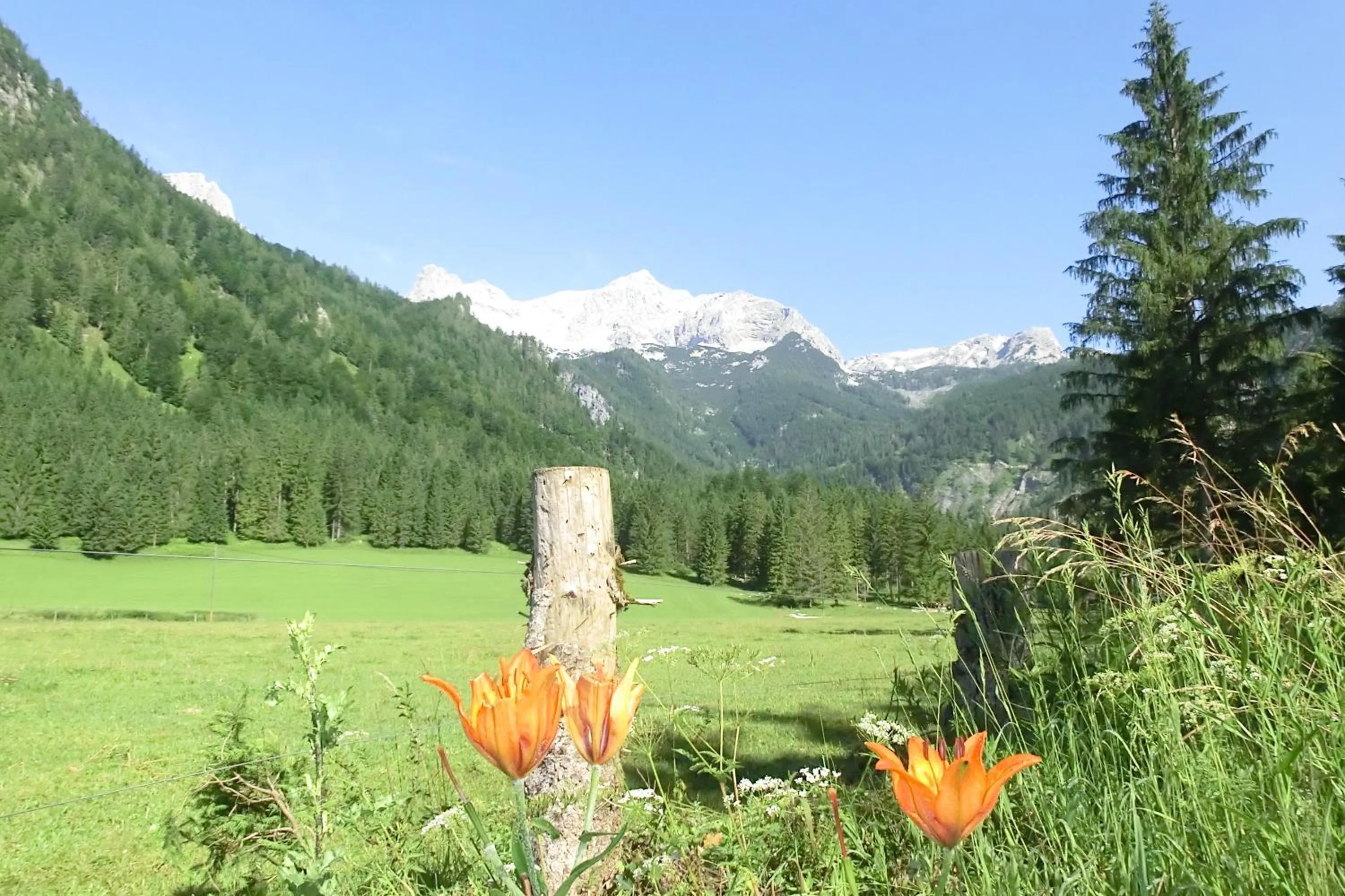 Natural landscape in Hotel garni Landhaus Bürtlmair