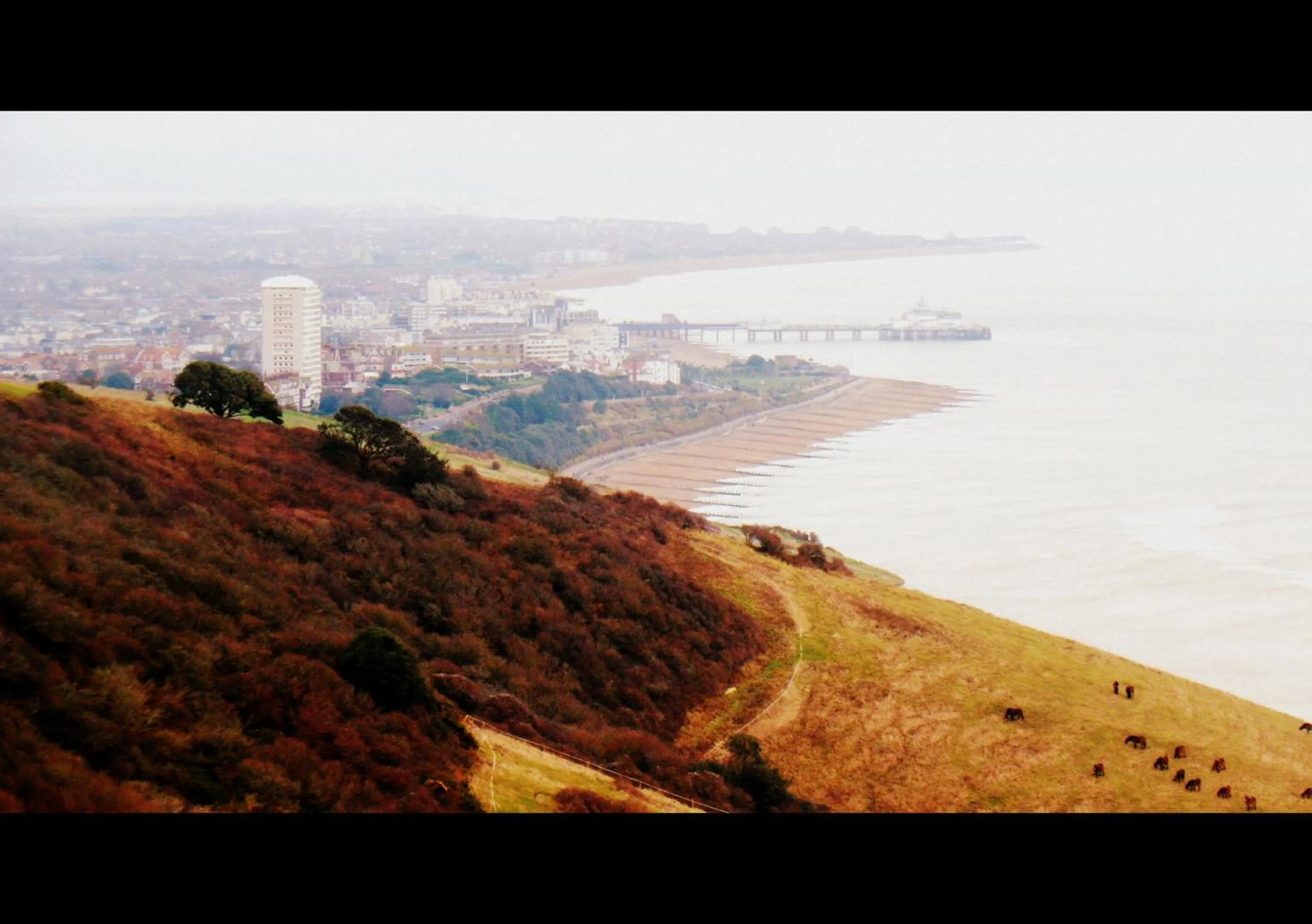 Neighbourhood in Eastbourne Reymar