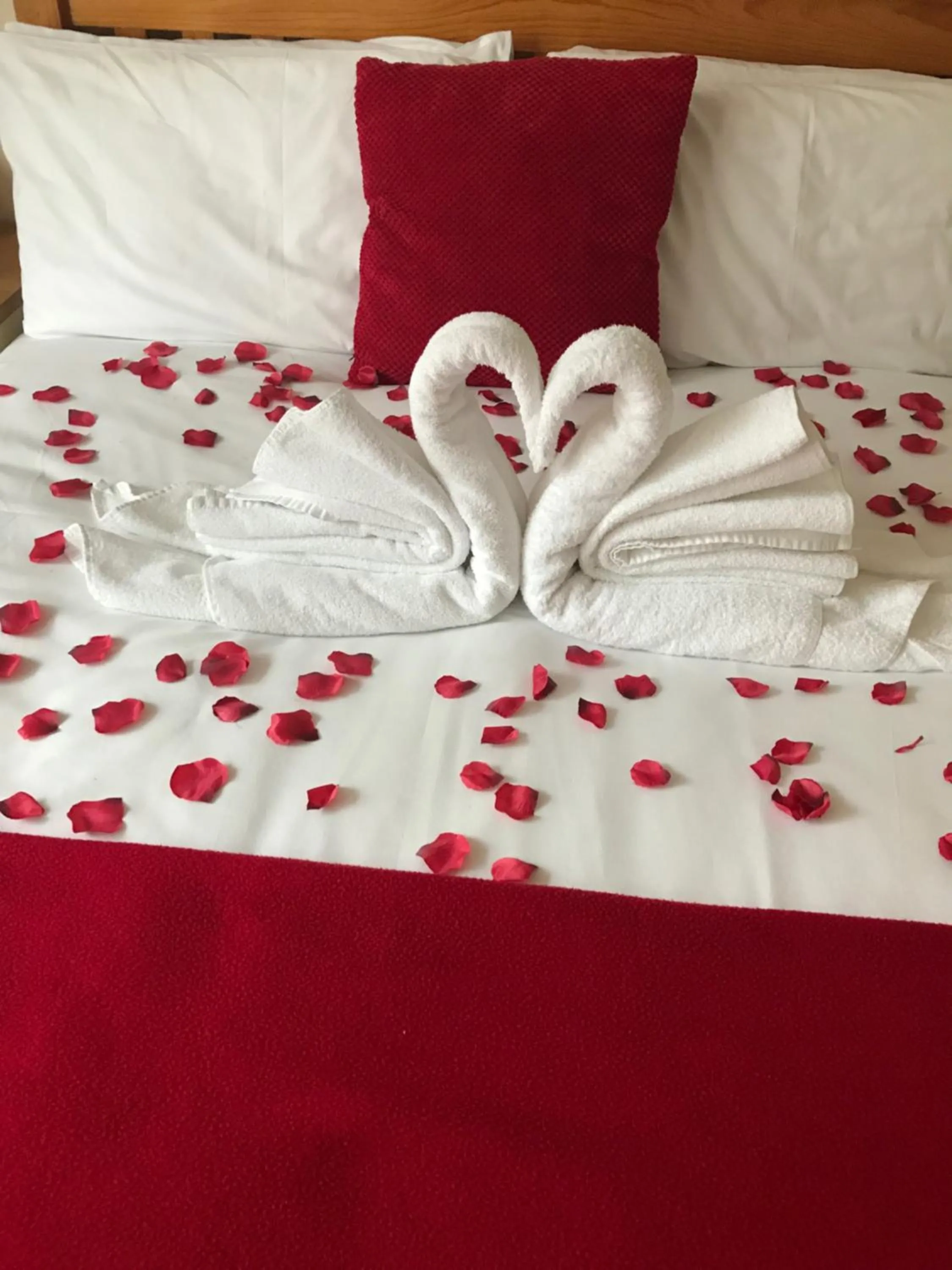 Other, Bed in Eastbourne Reymar