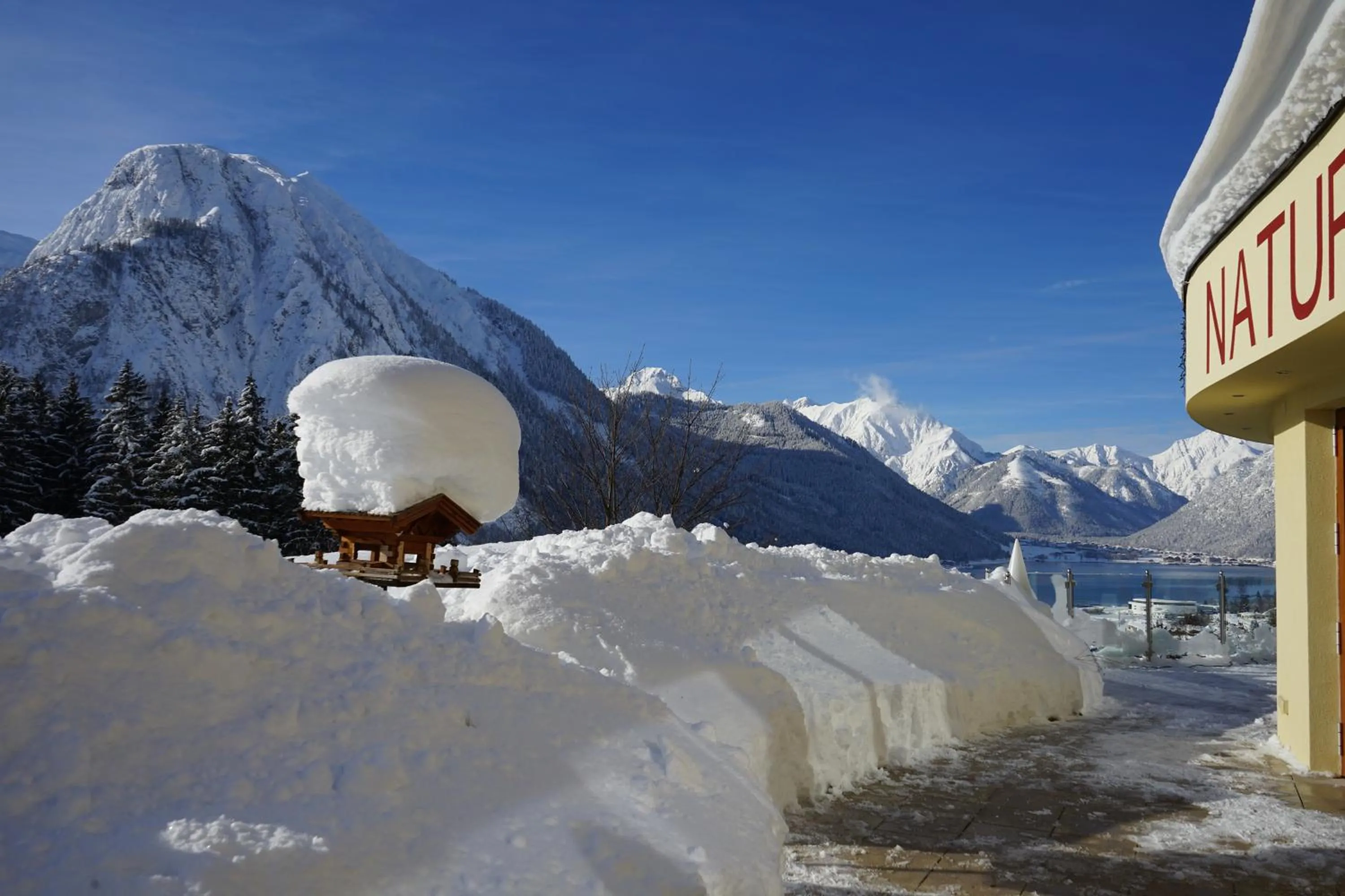 Garden view in Naturhotel Alpenblick