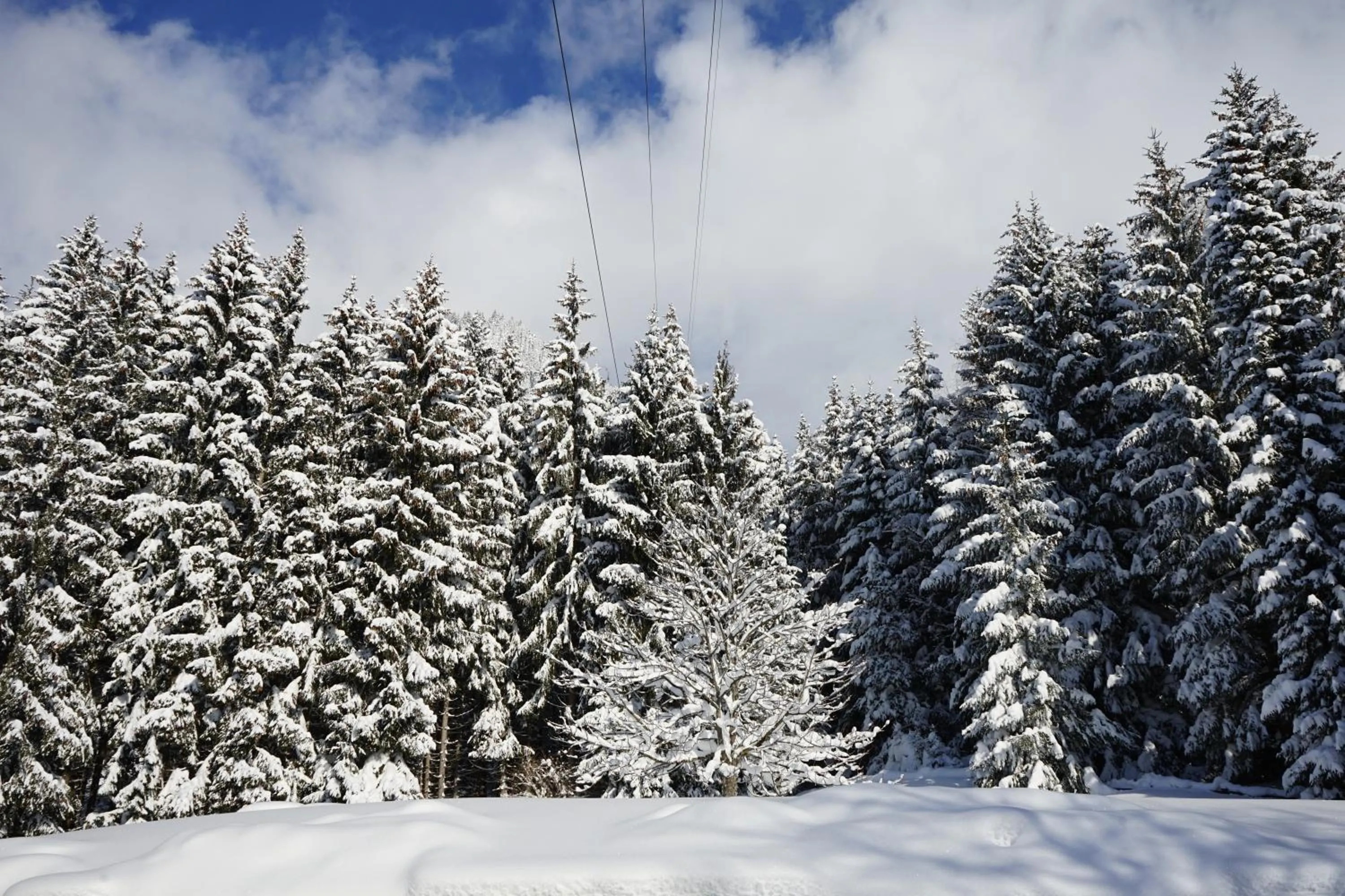 Mountain view in Naturhotel Alpenblick