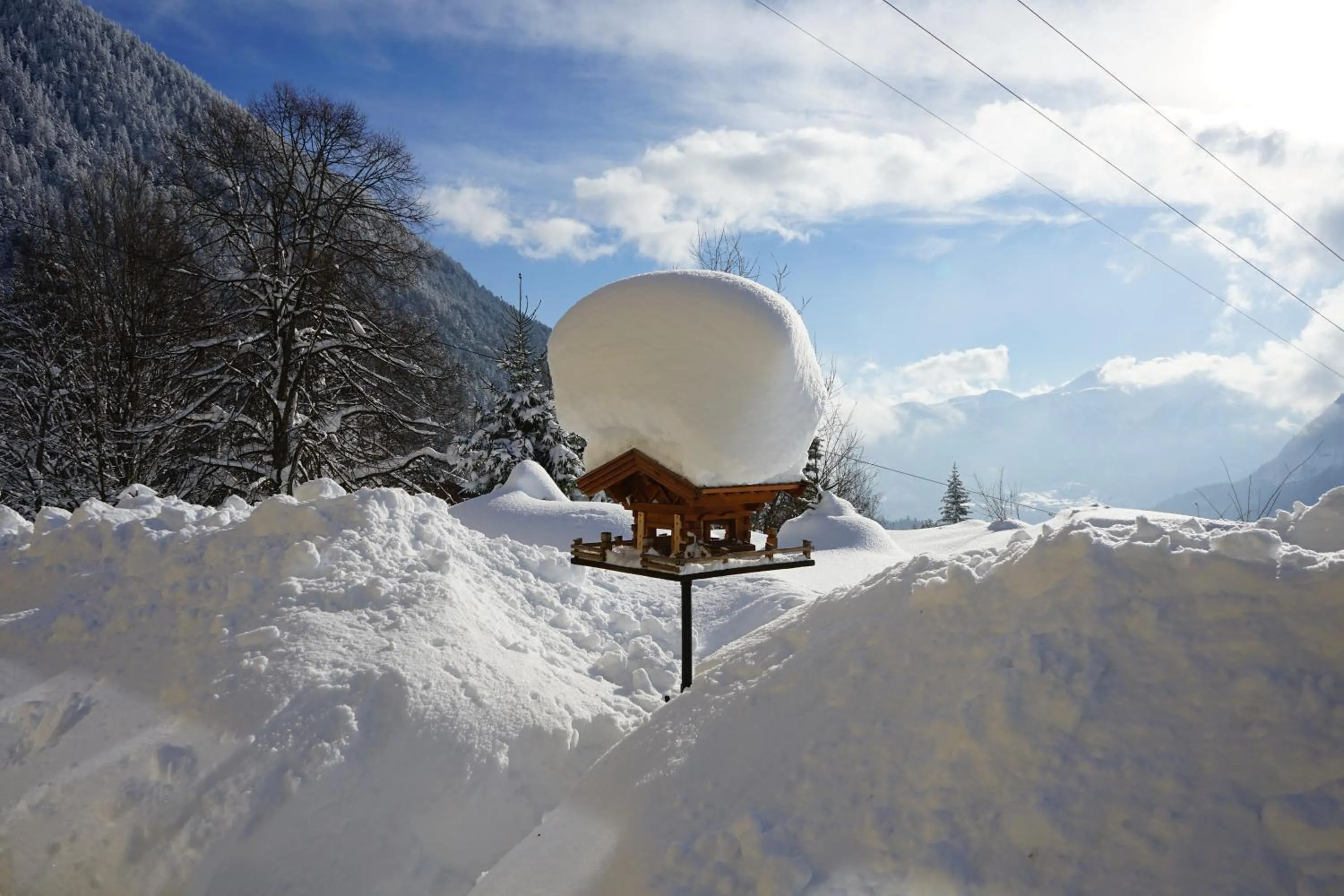 Garden view in Naturhotel Alpenblick
