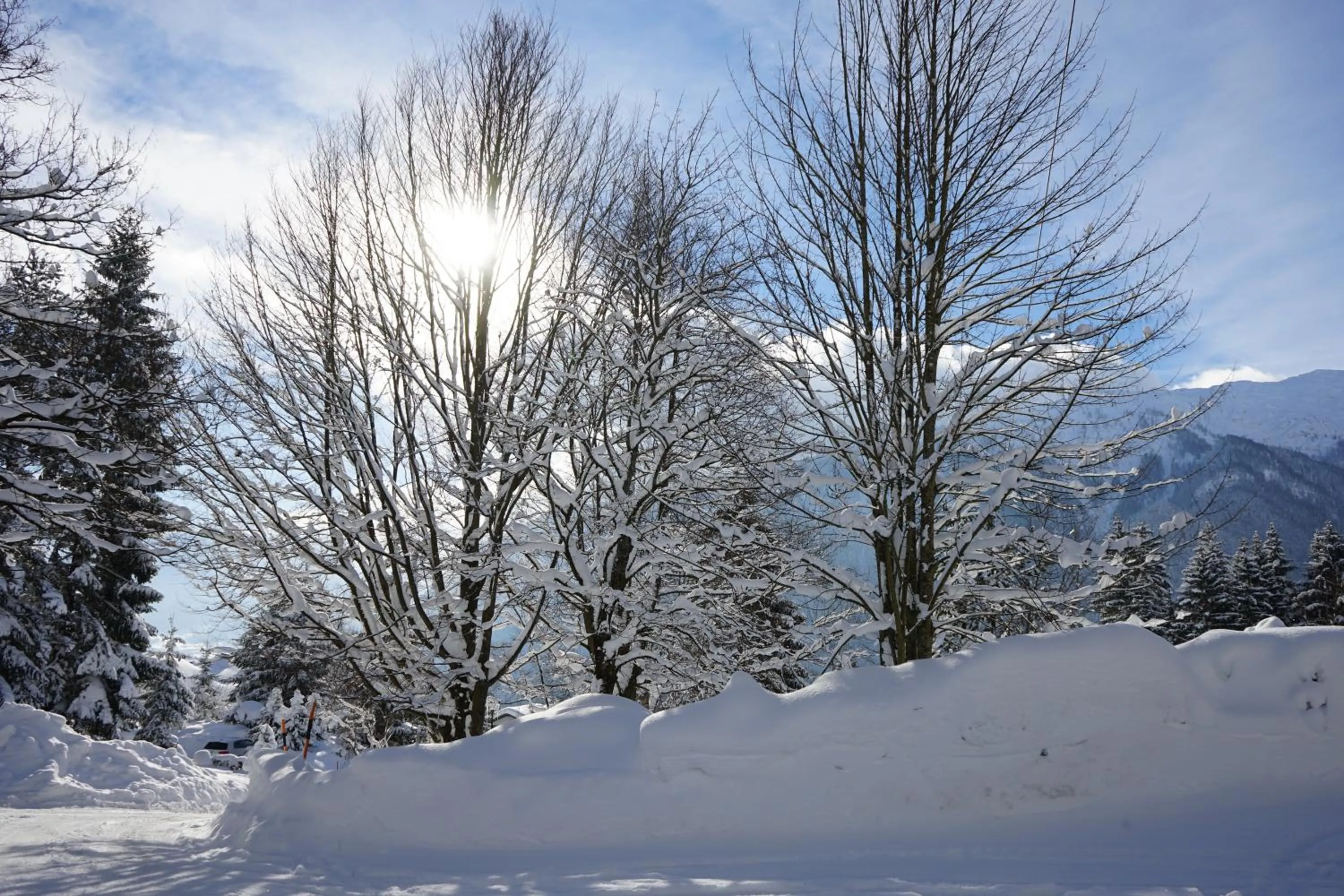 Mountain view in Naturhotel Alpenblick