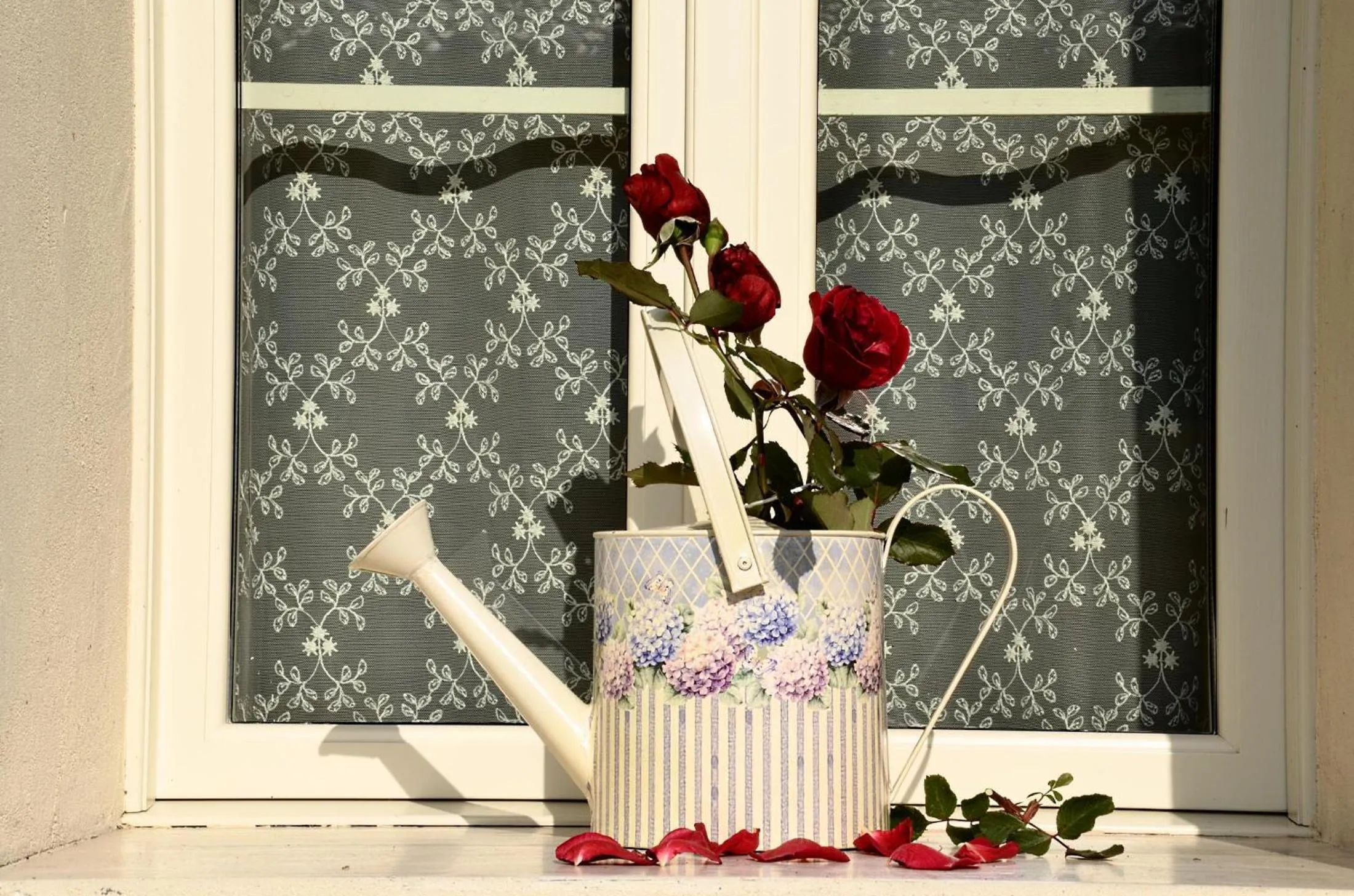 Facade/entrance in La Fabbrica Delle Idee