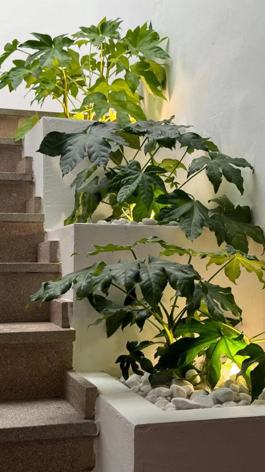 Lobby or reception in Hospedium Hotel La Fuente