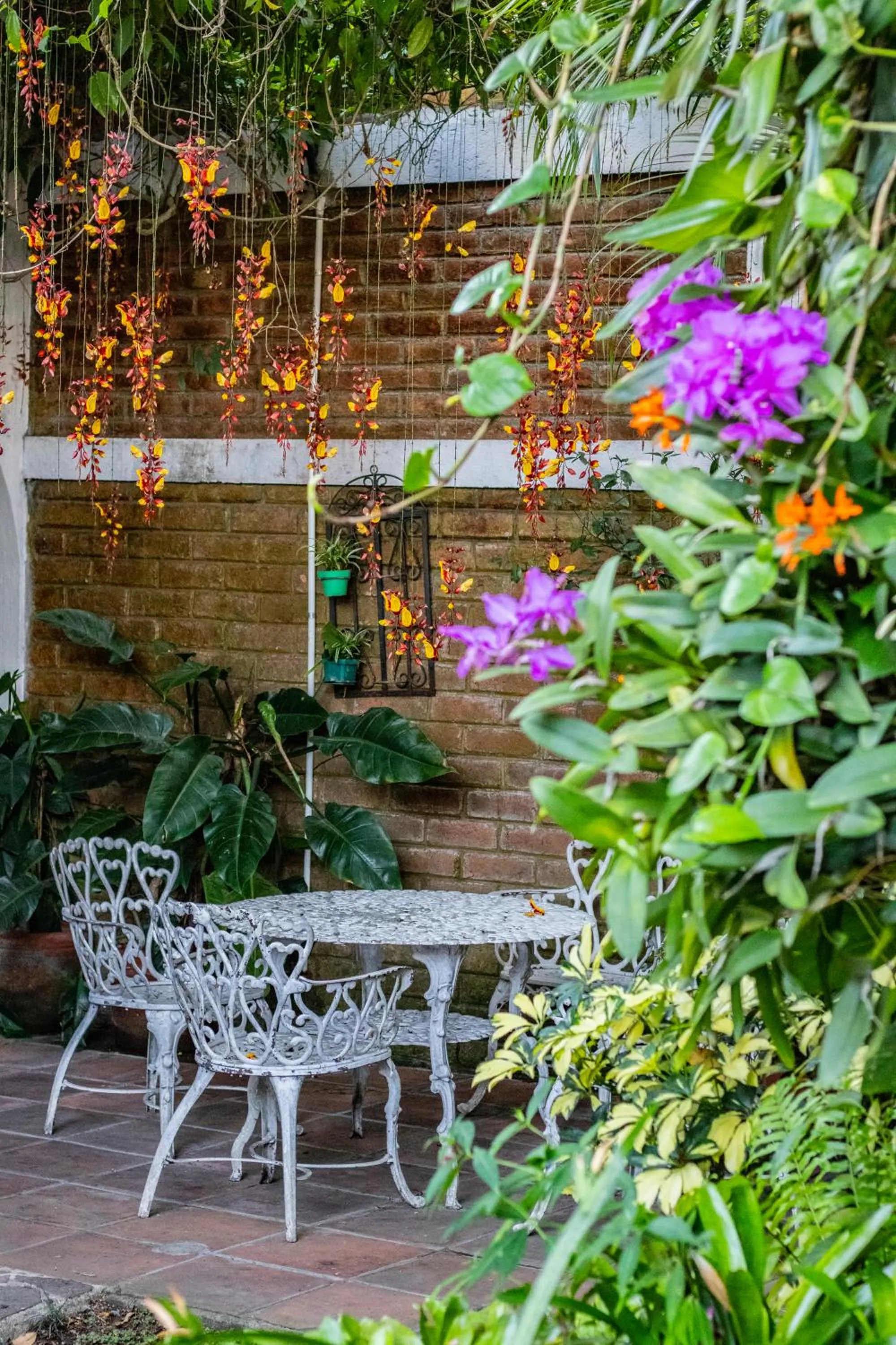 Garden in Arbol de Fuego Eco-hotel