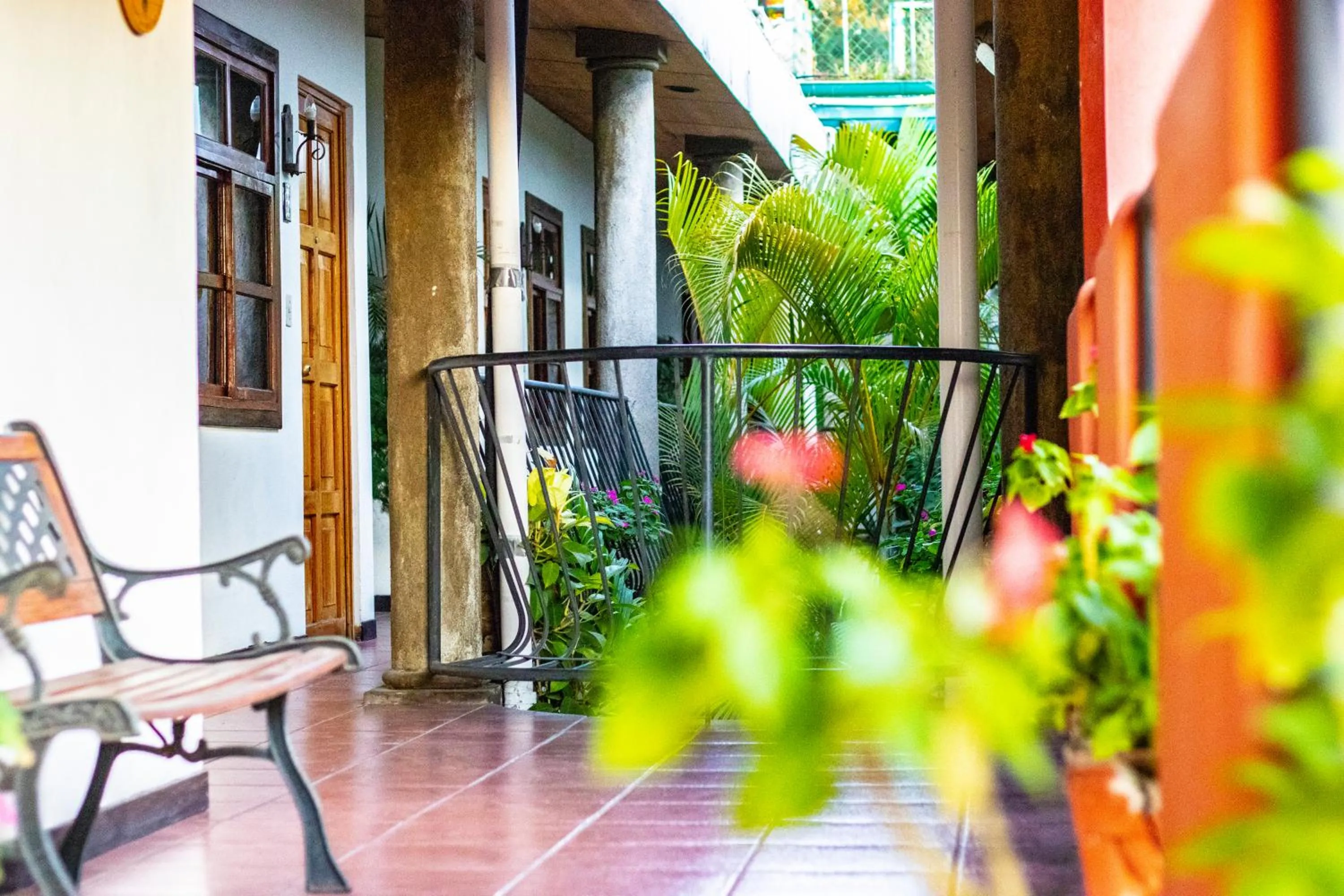 Property building in Arbol de Fuego Eco-hotel