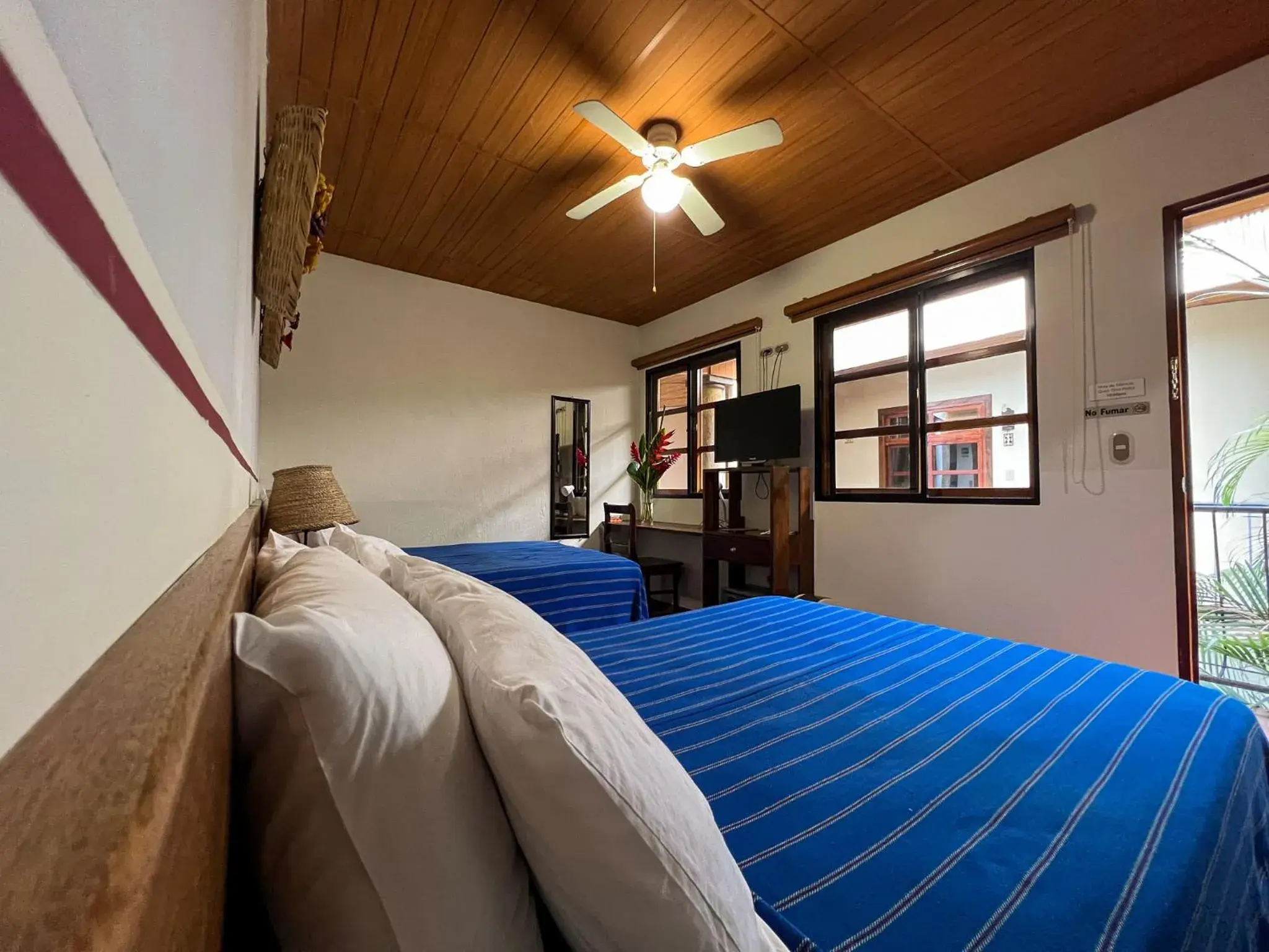 Superior Double with Garden View - single occupancy in Arbol de Fuego Eco-hotel Superior Double with Garden View - single occupancy in Arbol de Fuego Eco-hotel