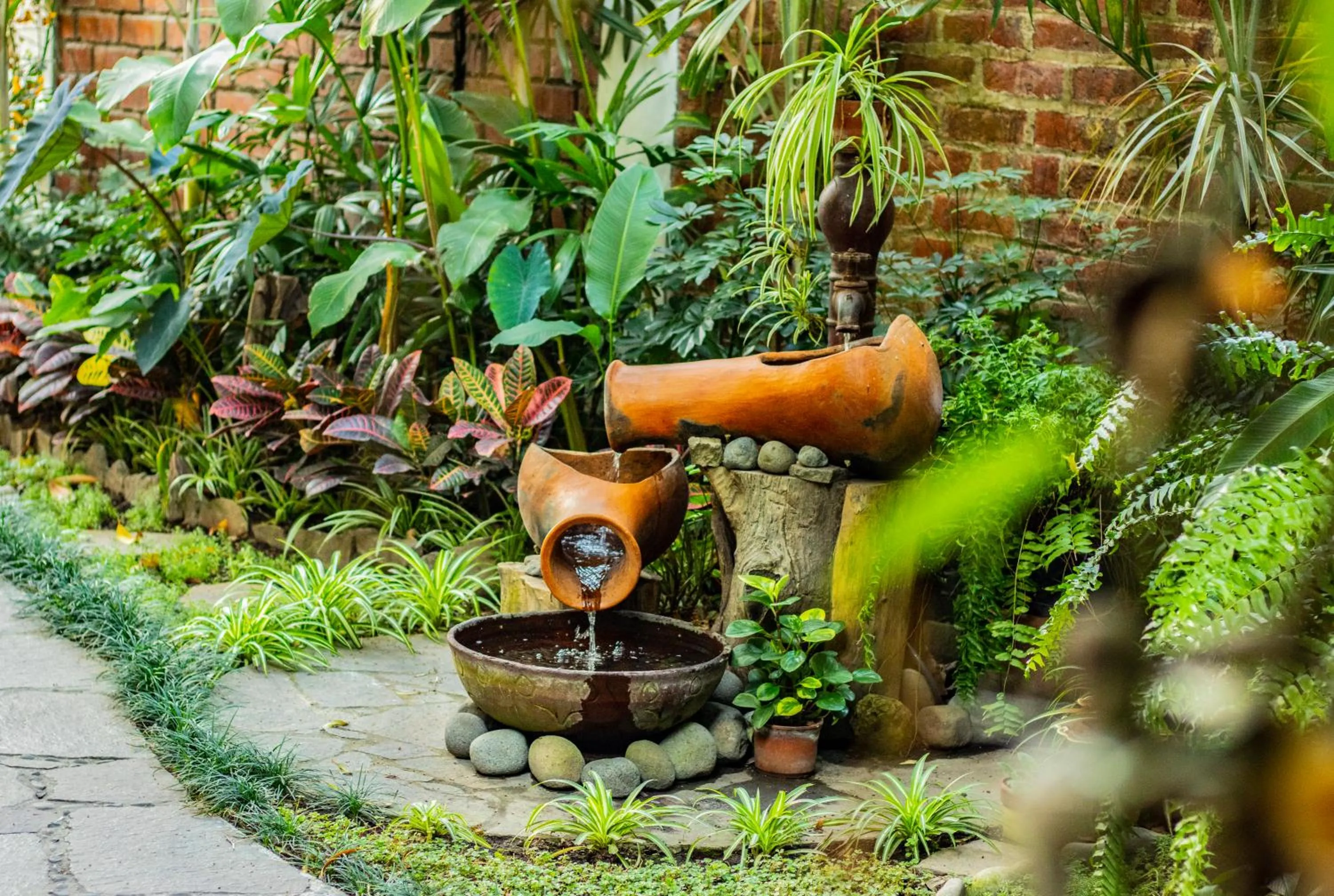 Garden in Arbol de Fuego Eco-hotel