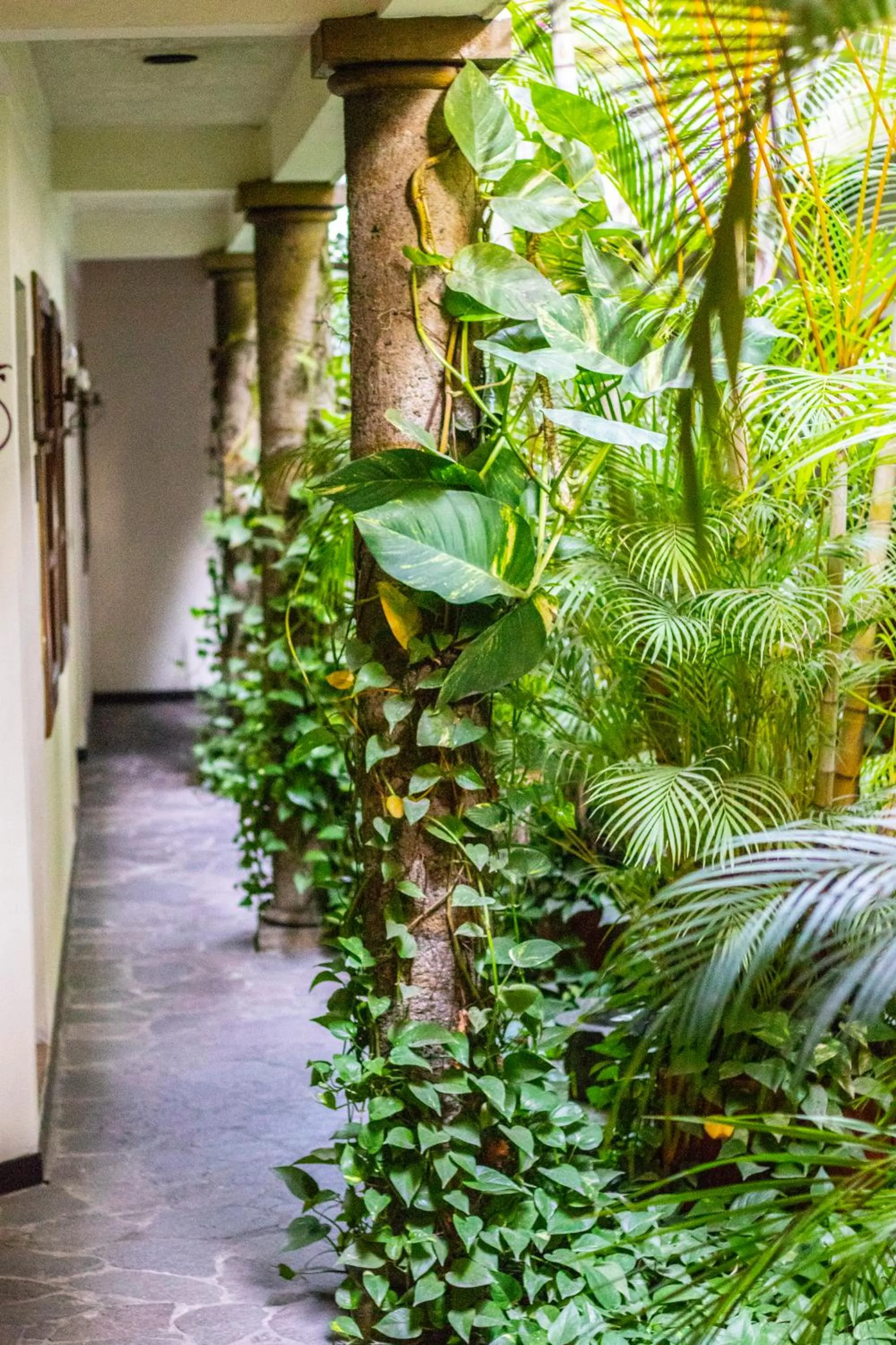 Property building in Arbol de Fuego Eco-hotel