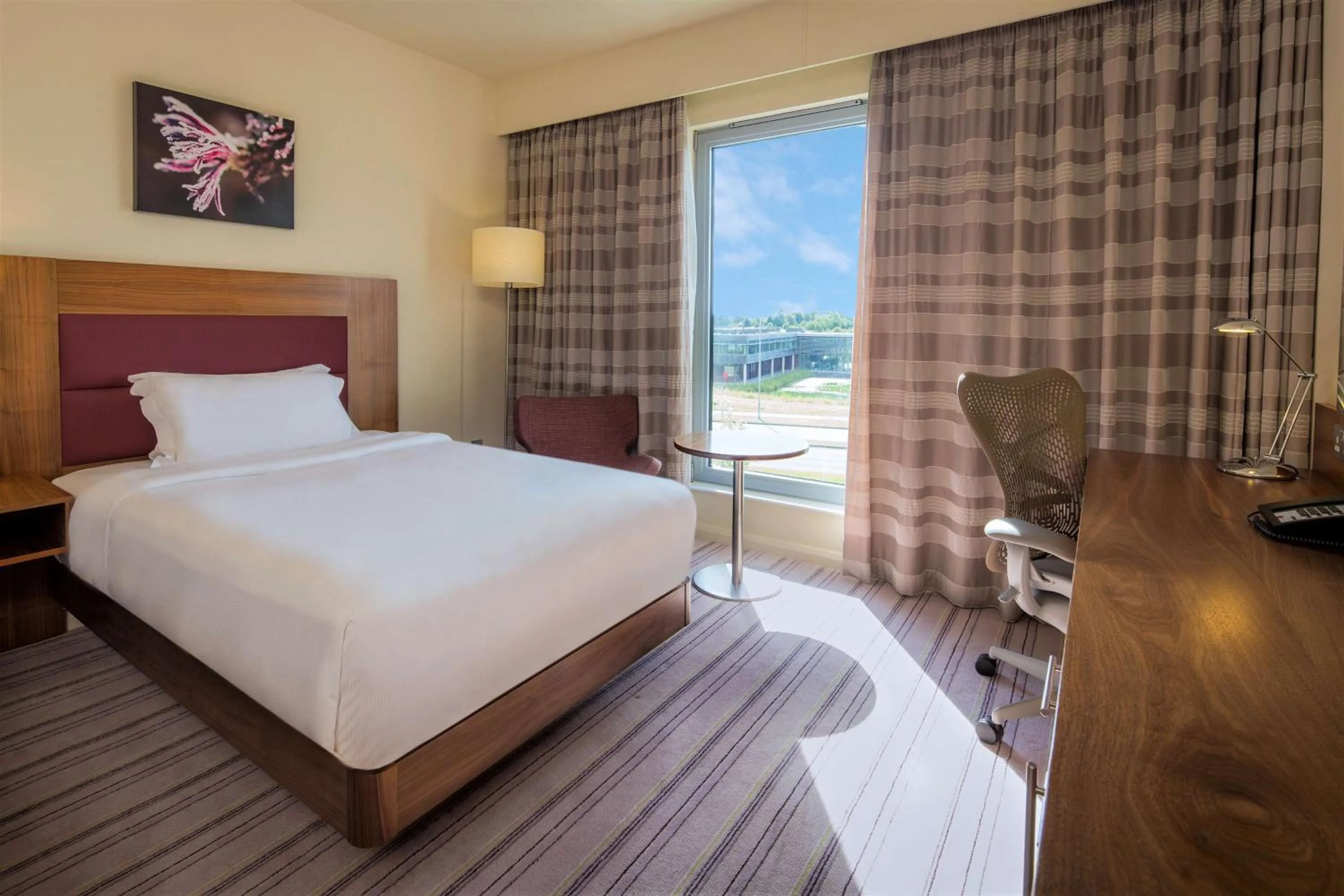 Queen Room in Hilton Garden Inn Luton North