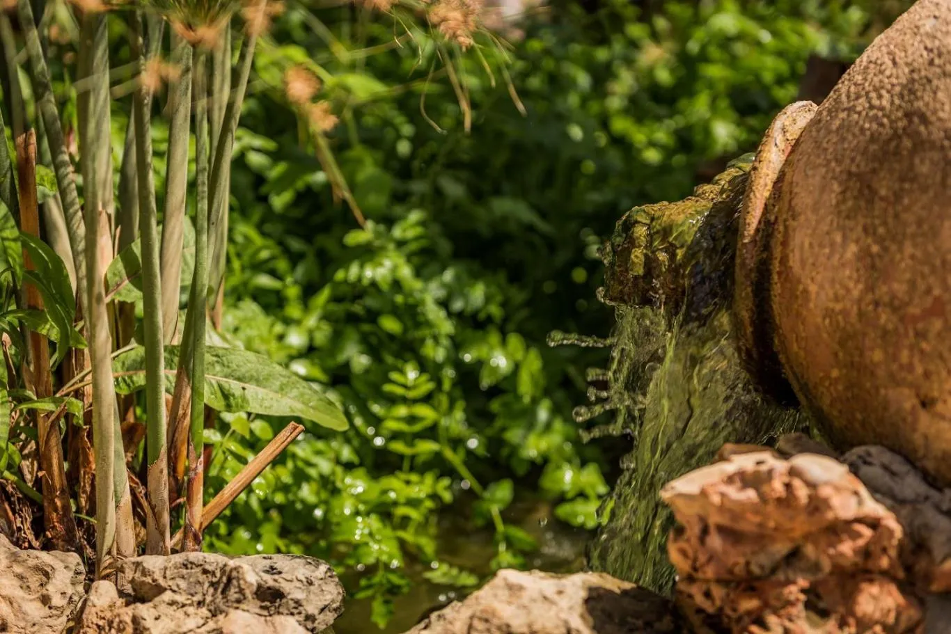 Natural landscape in The Residence by the Beach House Marbella