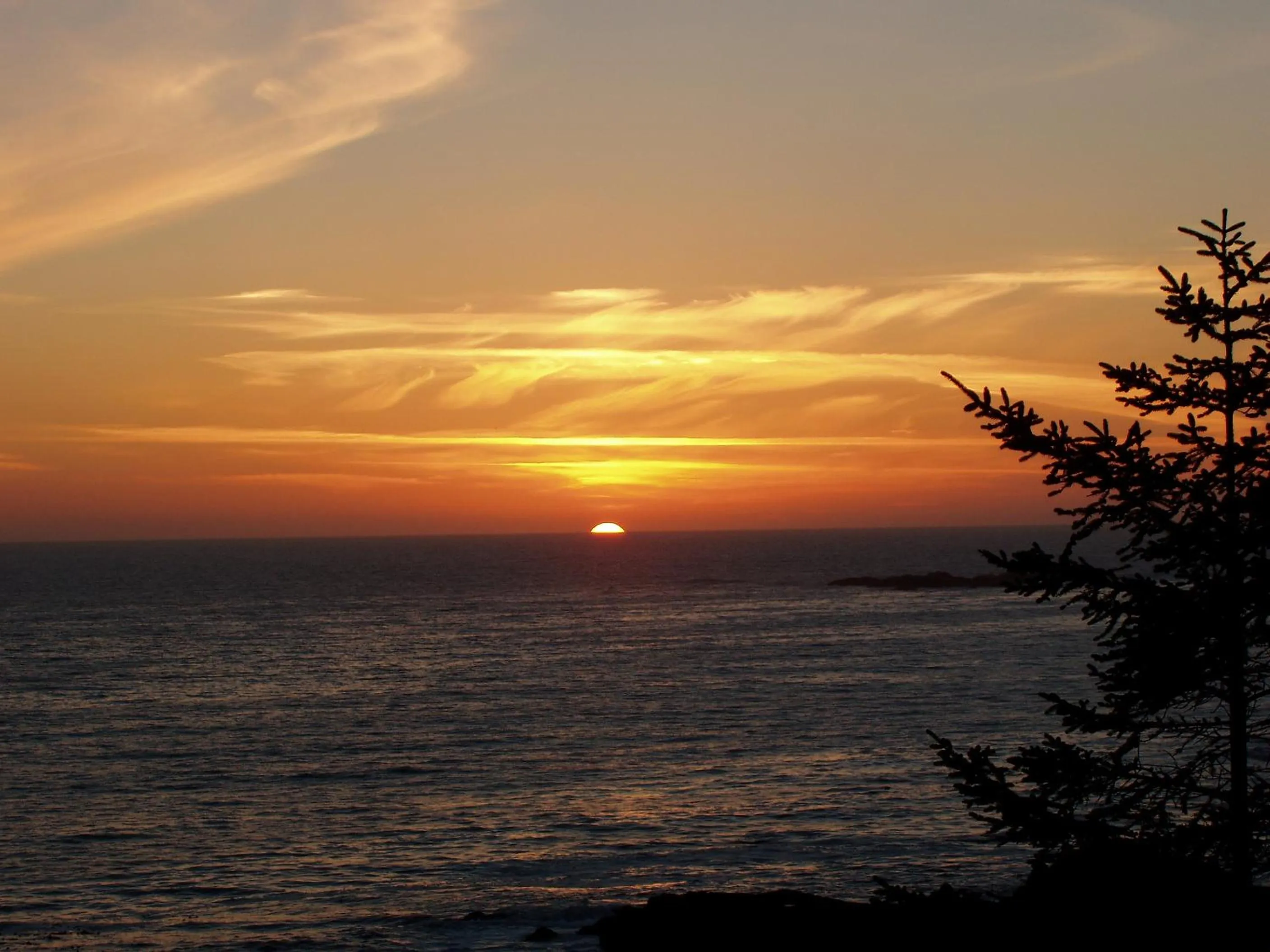Natural landscape in Snug Harbour Inn