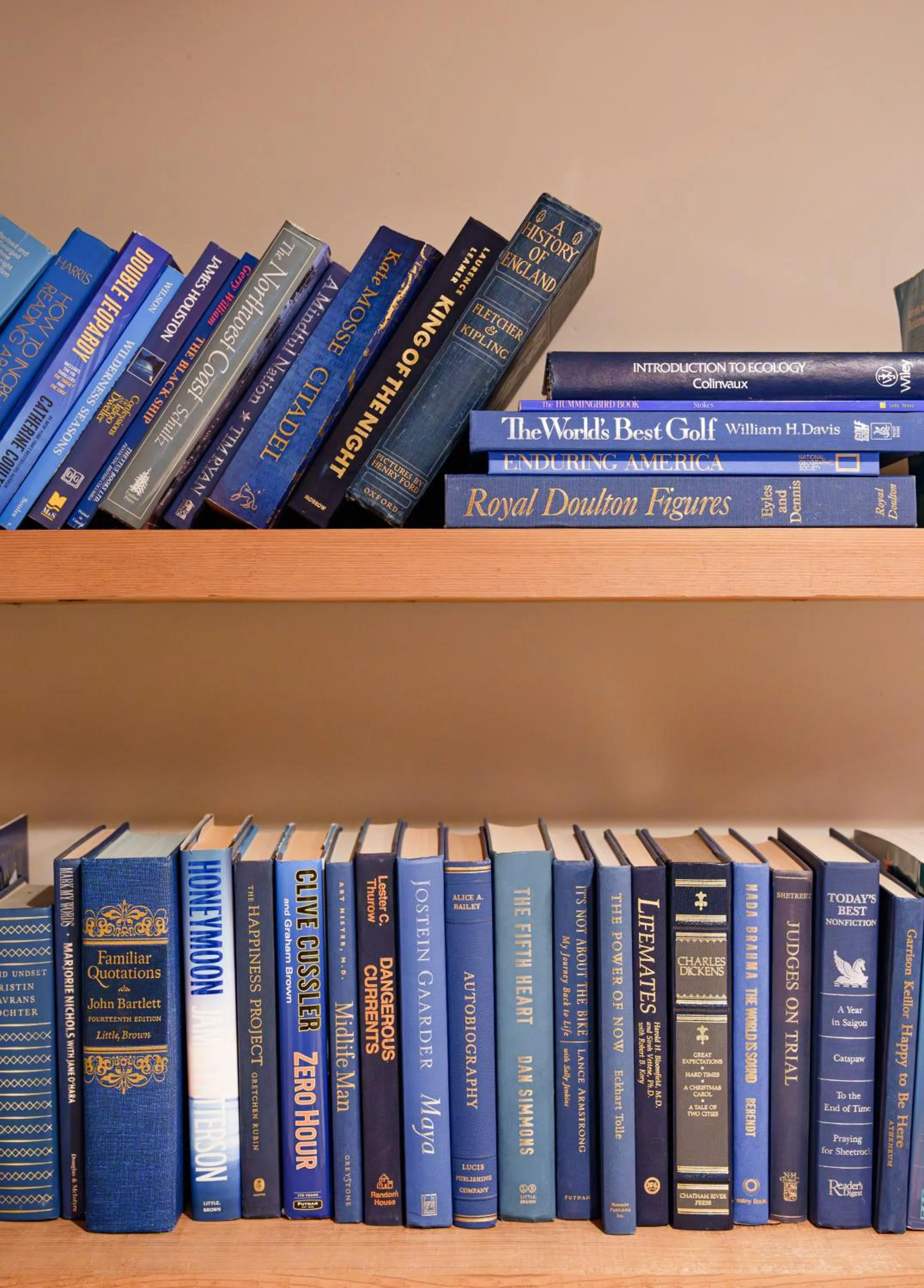 Activities in Snug Harbour Inn