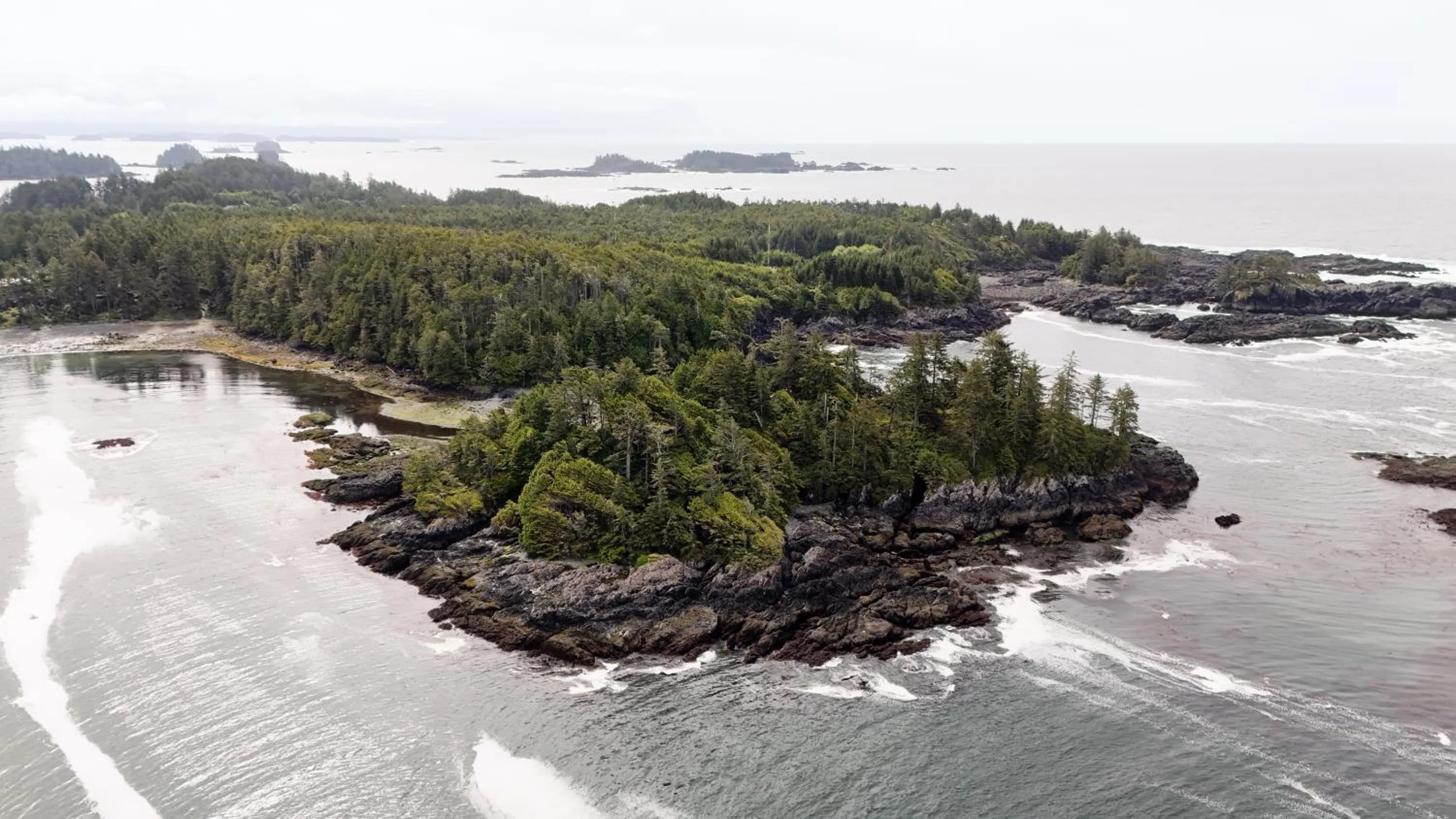 Natural landscape in Snug Harbour Inn