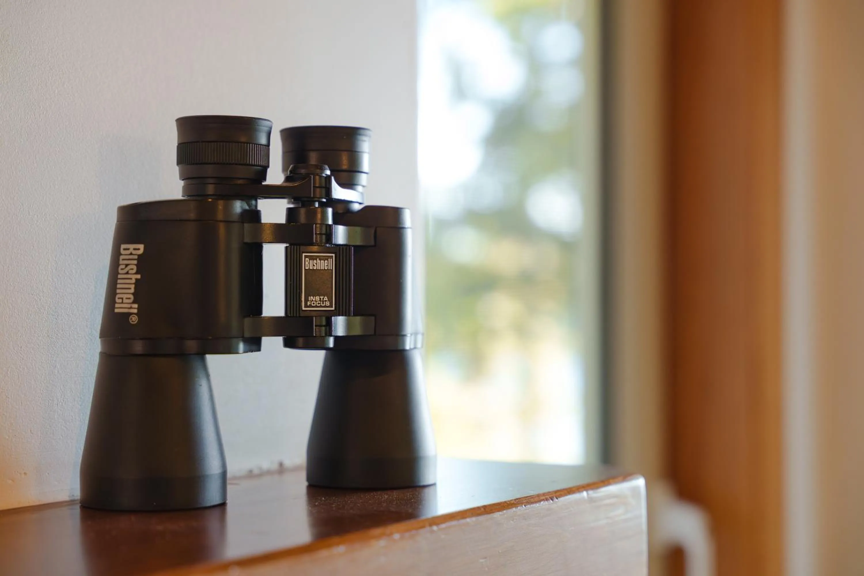 Activities in Snug Harbour Inn