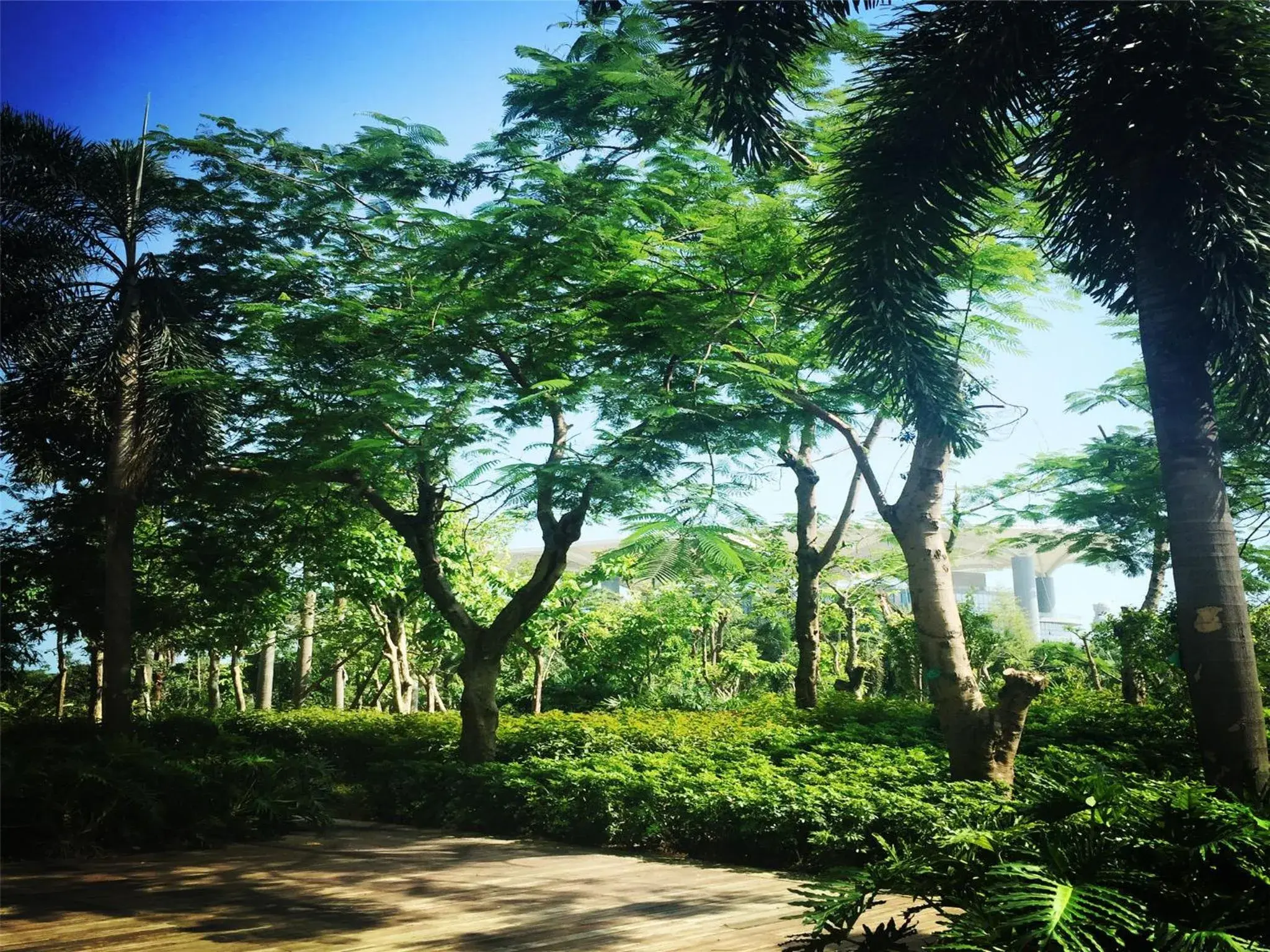 Property building in Xiamen International Conference Center Hotel Prime Seaview Hotel Property building in Xiamen International Conference Center Hotel Prime Seaview Hotel