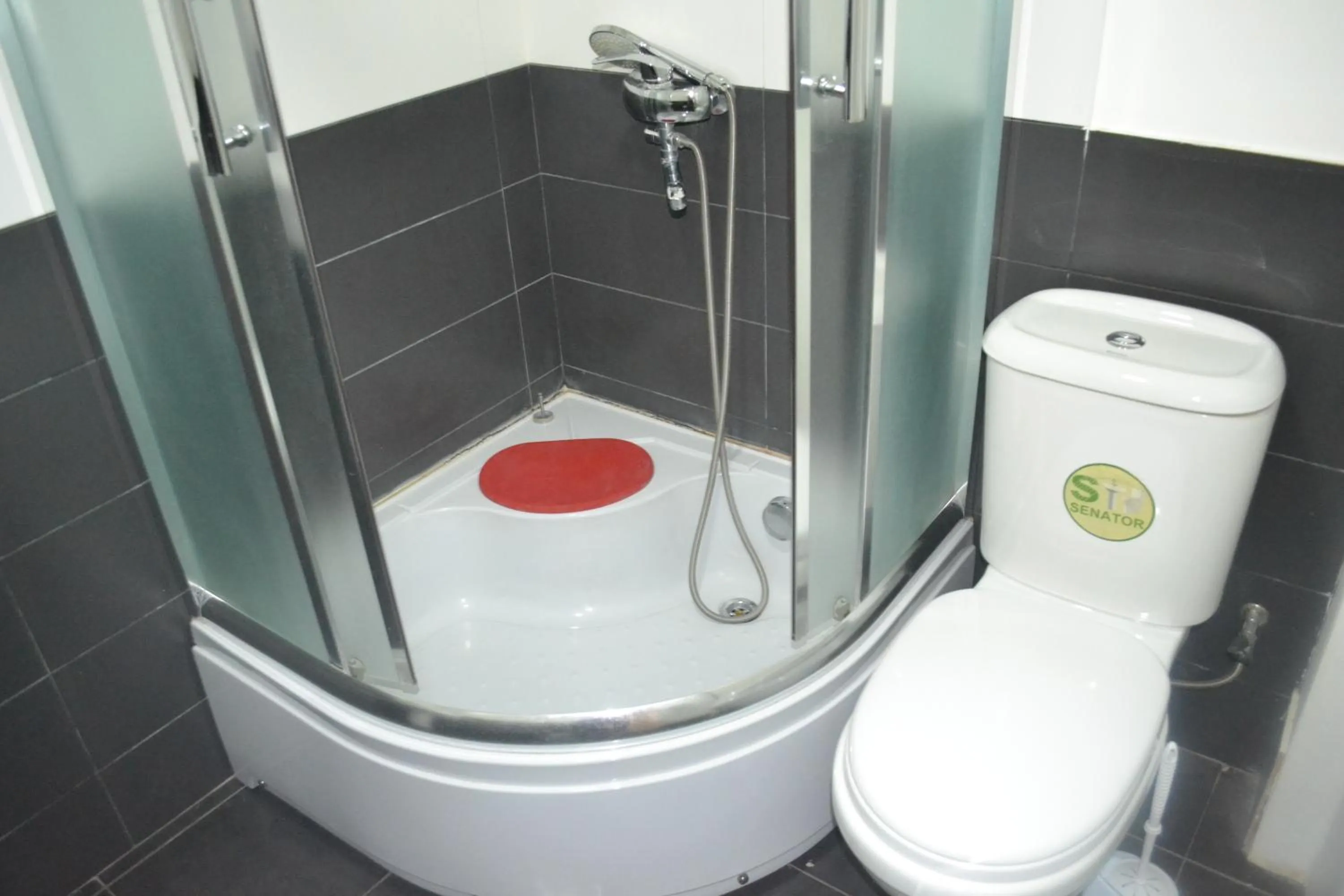 Shower in Hotel Rustaveli 36