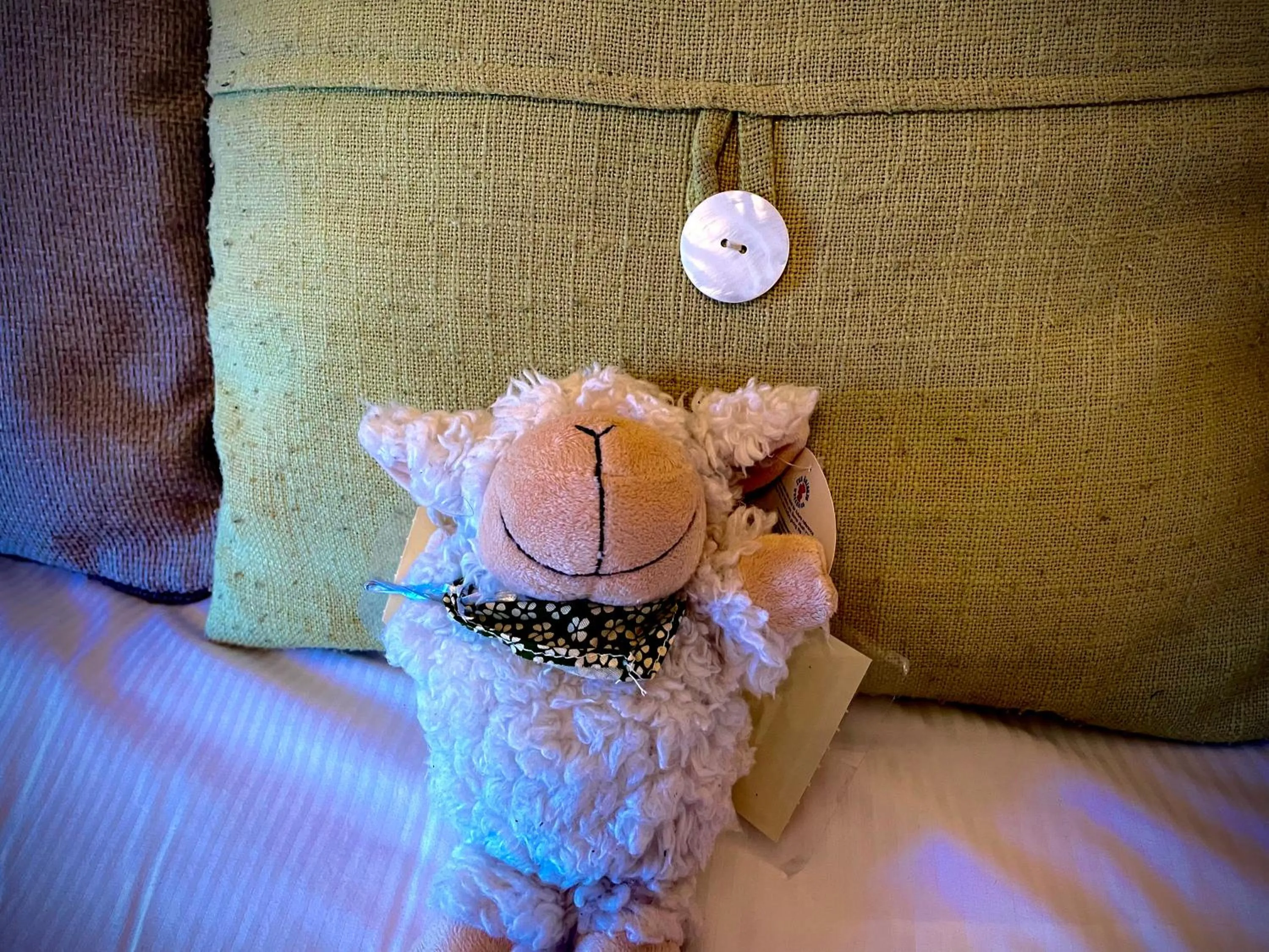 Bed in Glenville House - Adults Only - Incl FREE off-site health club with swimming pool, hot tub, sauna & steam room