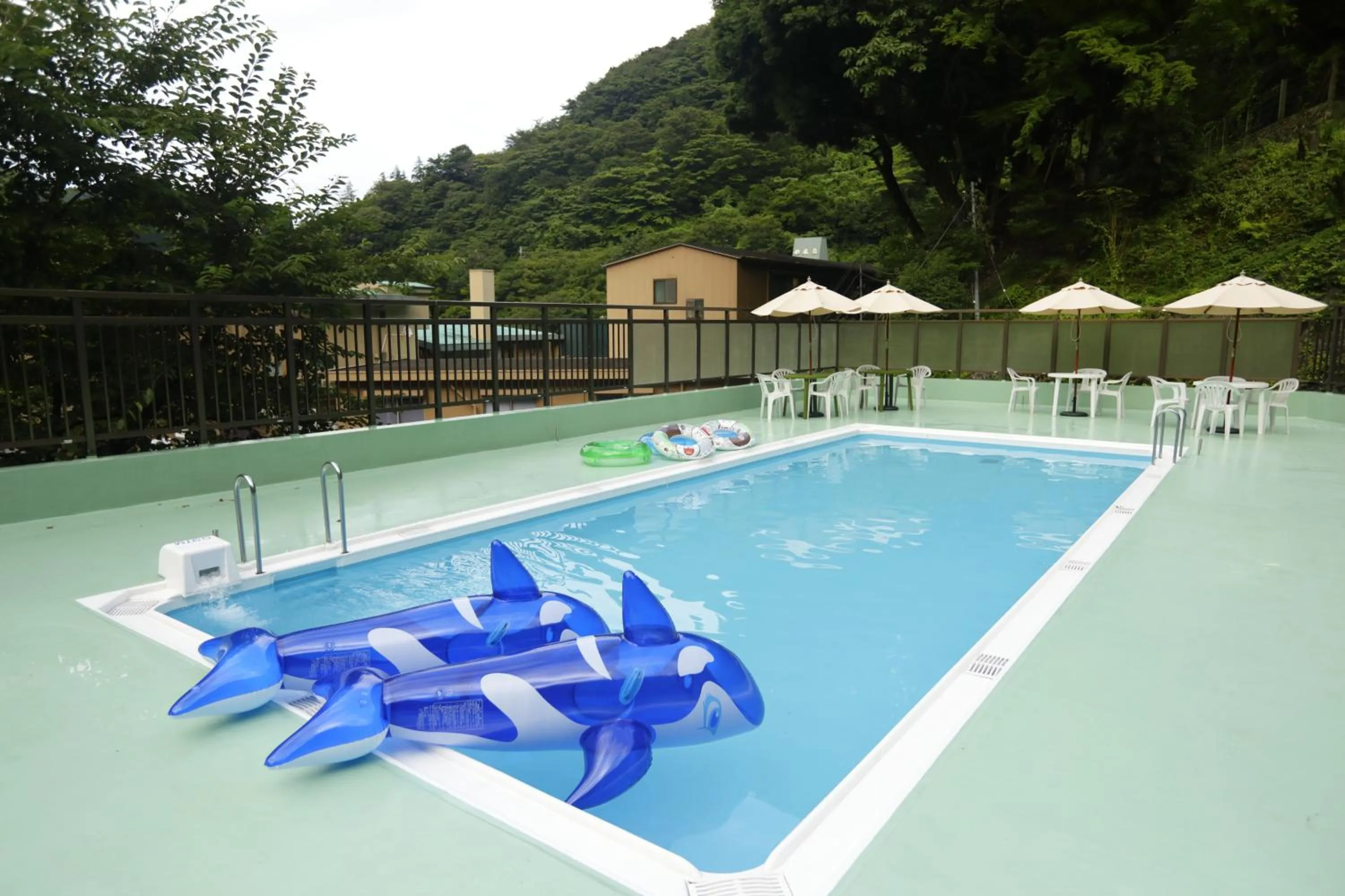 Swimming pool in Hotel Nanpuso