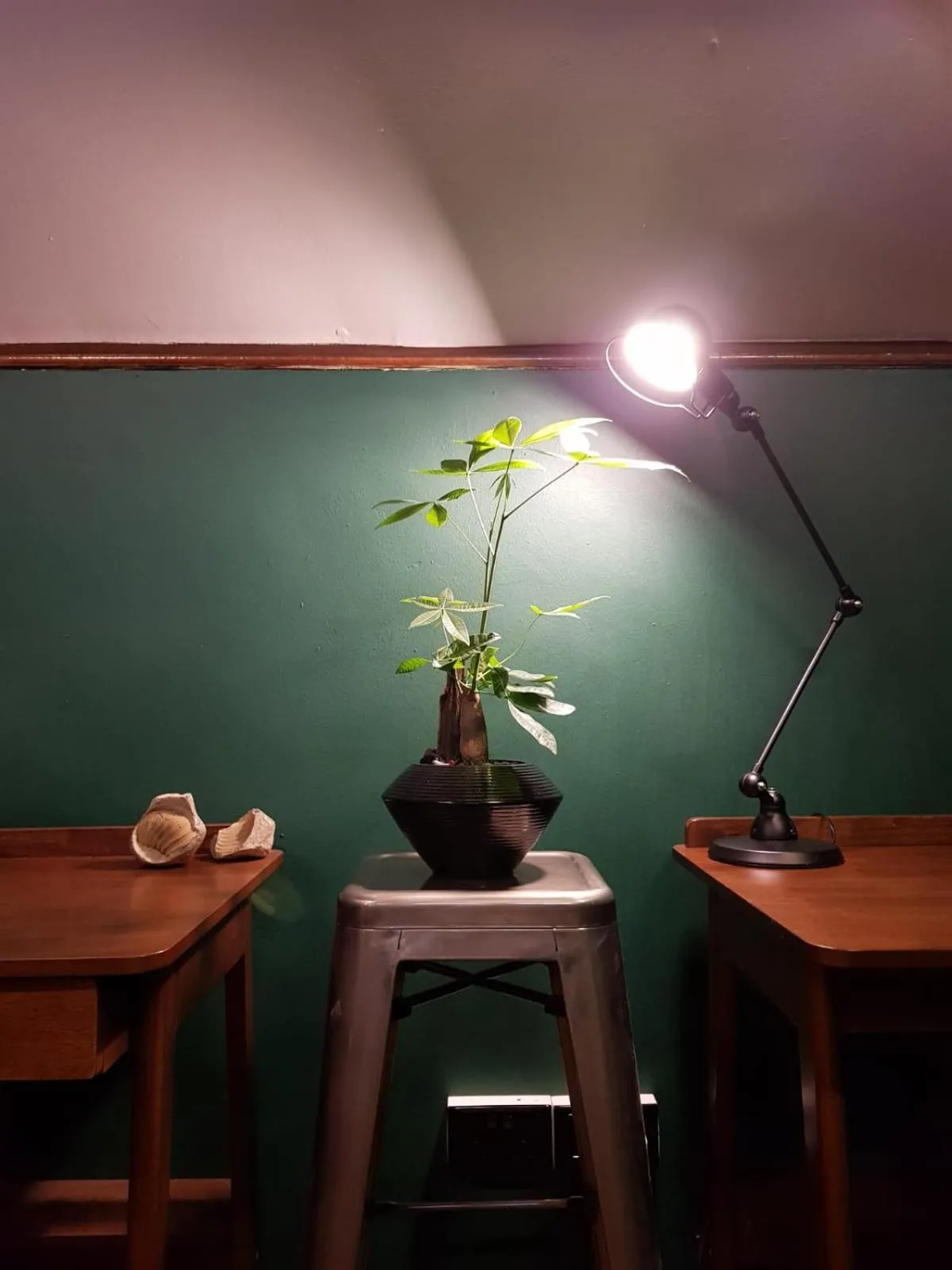 Day in Wink at Mosque Street