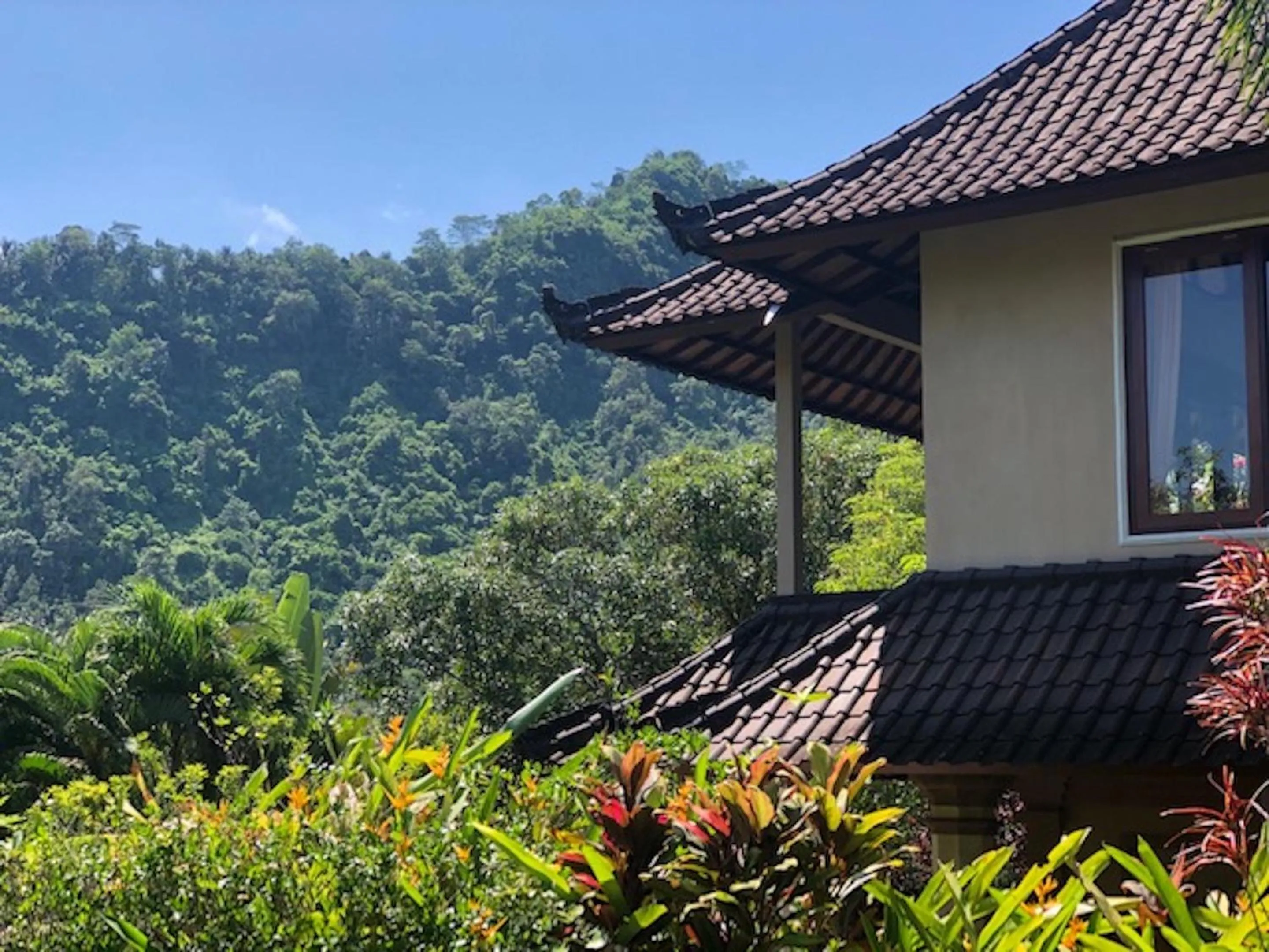 Mountain view in Nirarta Center For Living Awareness