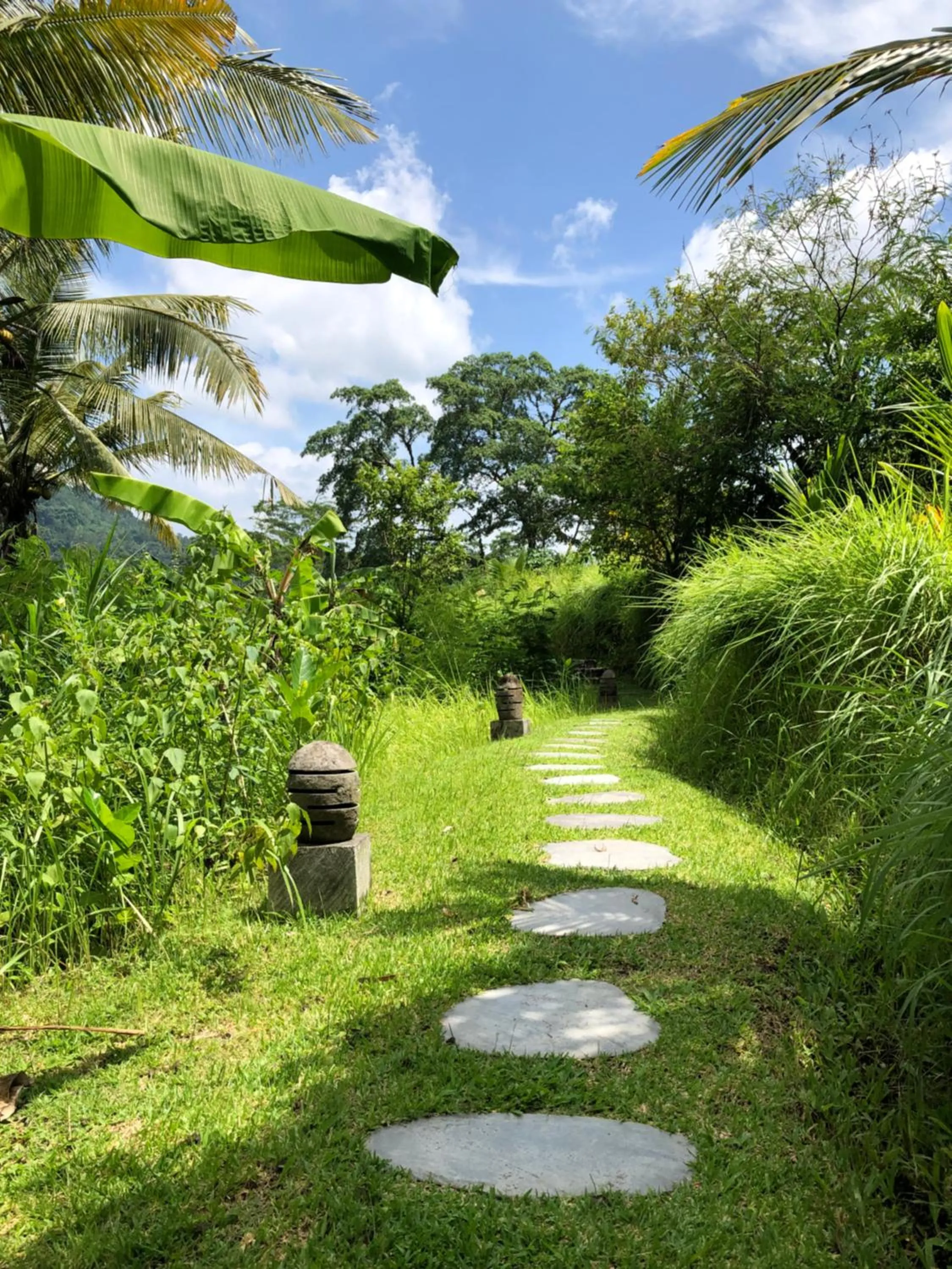 View (from property/room) in Nirarta Center For Living Awareness