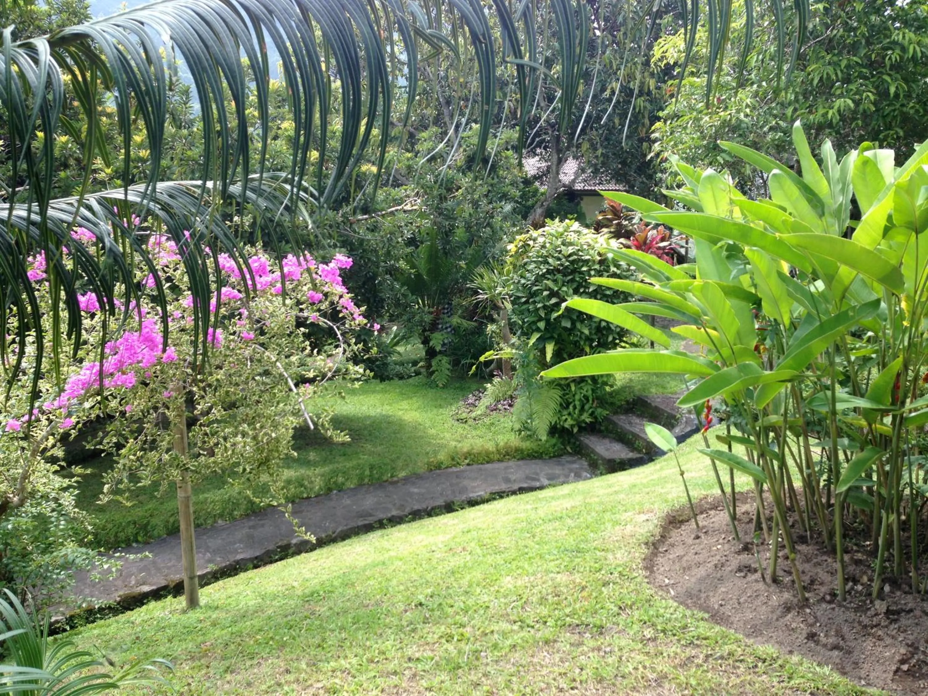 Garden view in Nirarta Center For Living Awareness