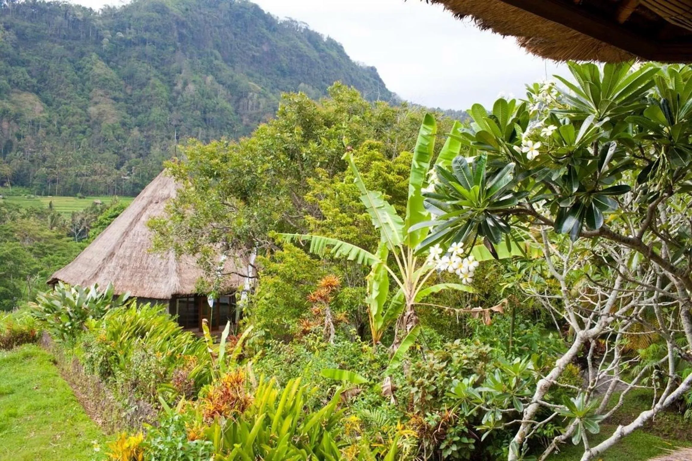 Garden view in Nirarta Center For Living Awareness