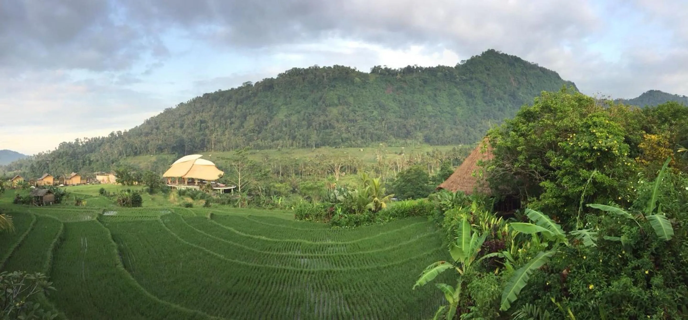 Natural landscape in Nirarta Center For Living Awareness