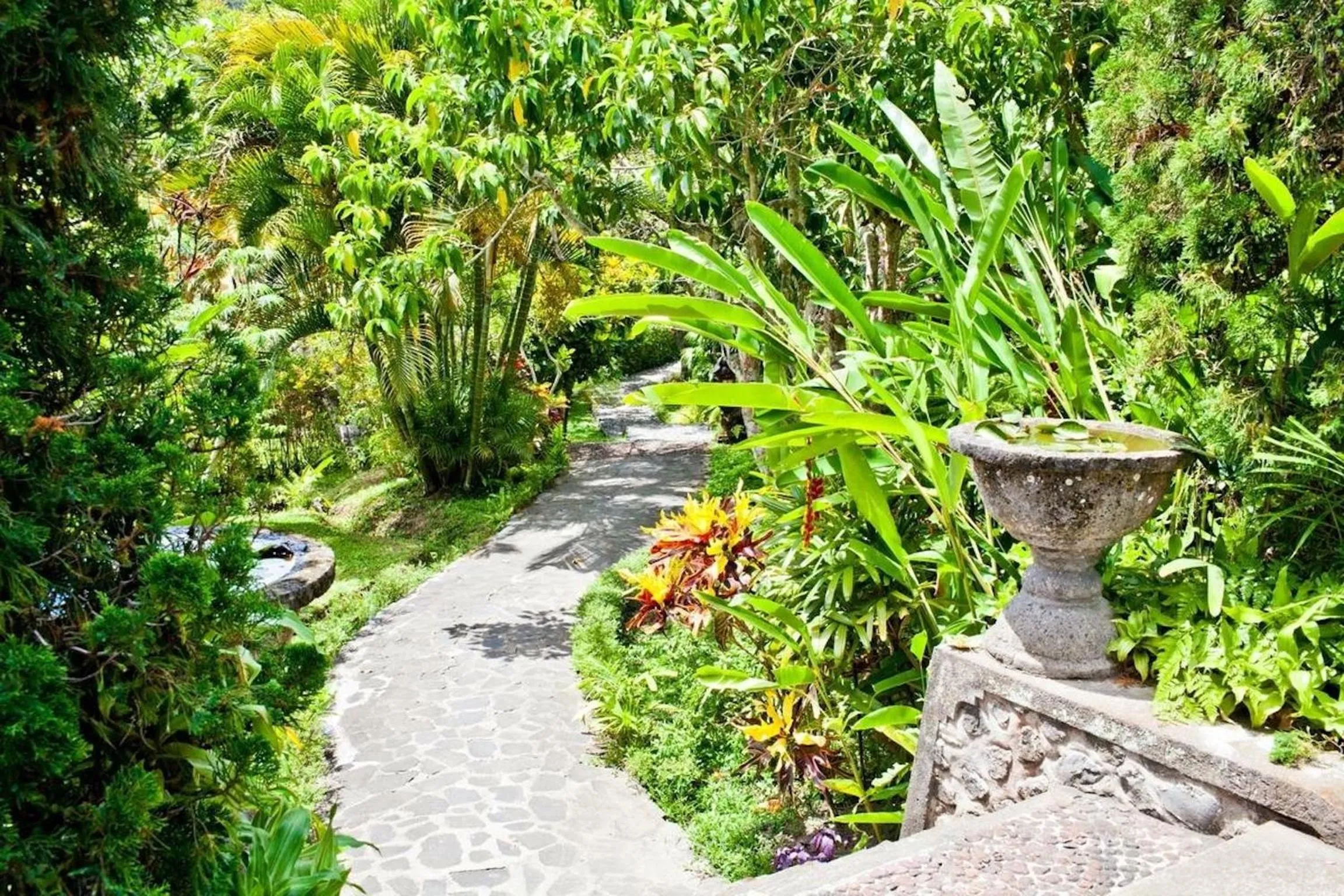 Garden in Nirarta Center For Living Awareness