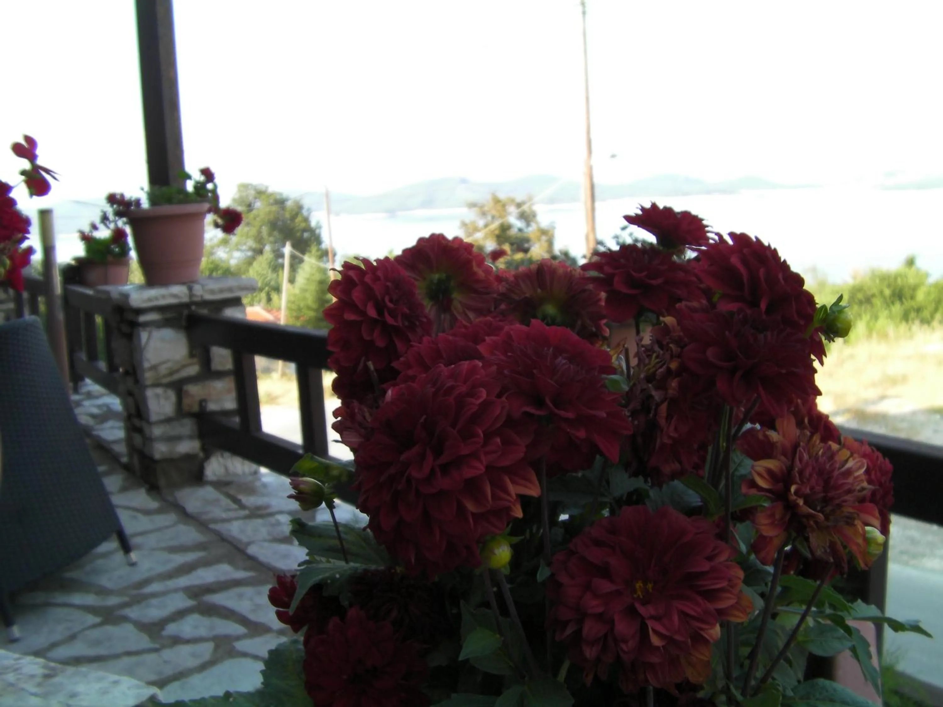 Balcony/Terrace in Pandion Luxury Boutique Hotel & Suites with Spa
