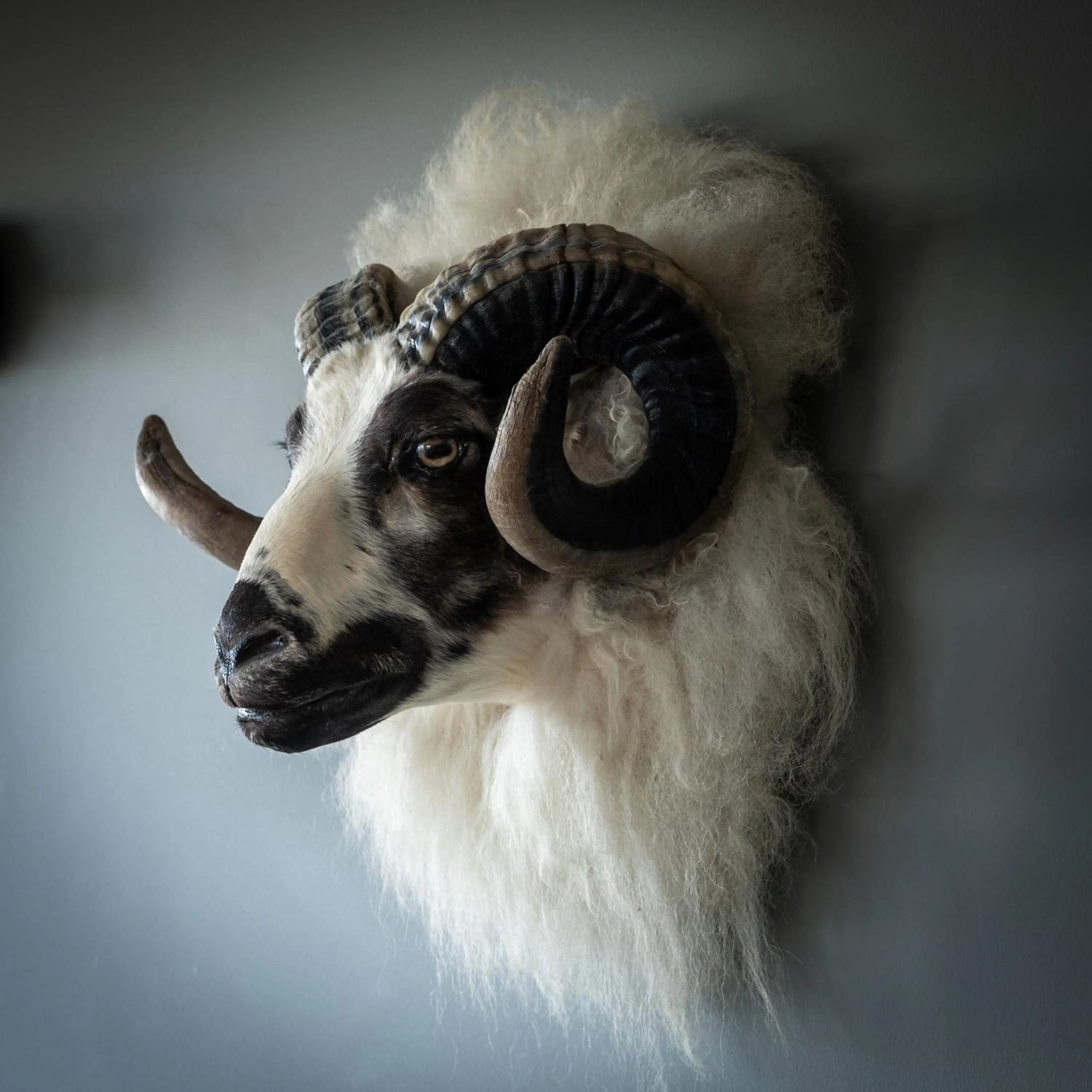 Decorative detail in Hestheimar