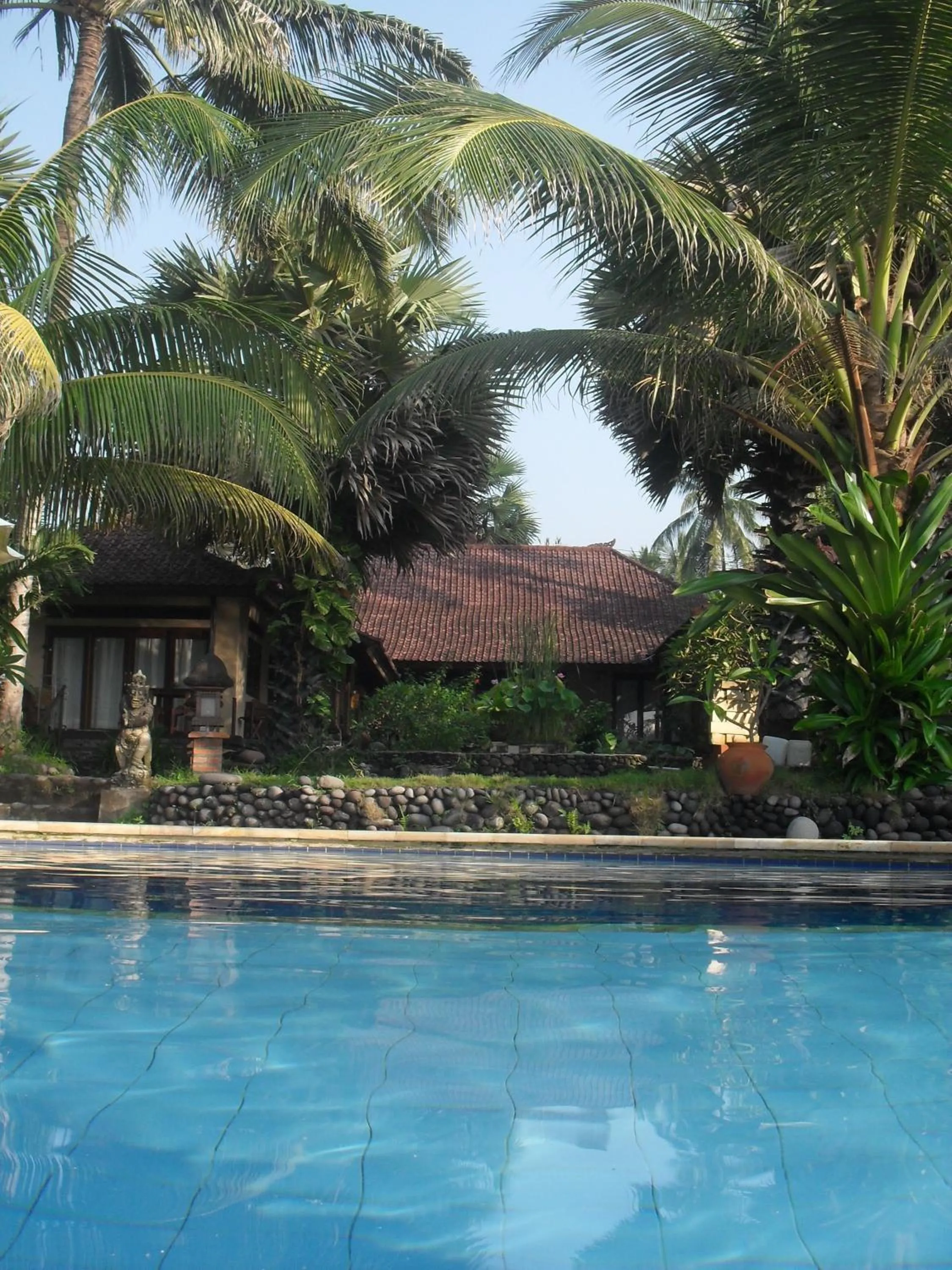 Swimming pool in Kebun Impian