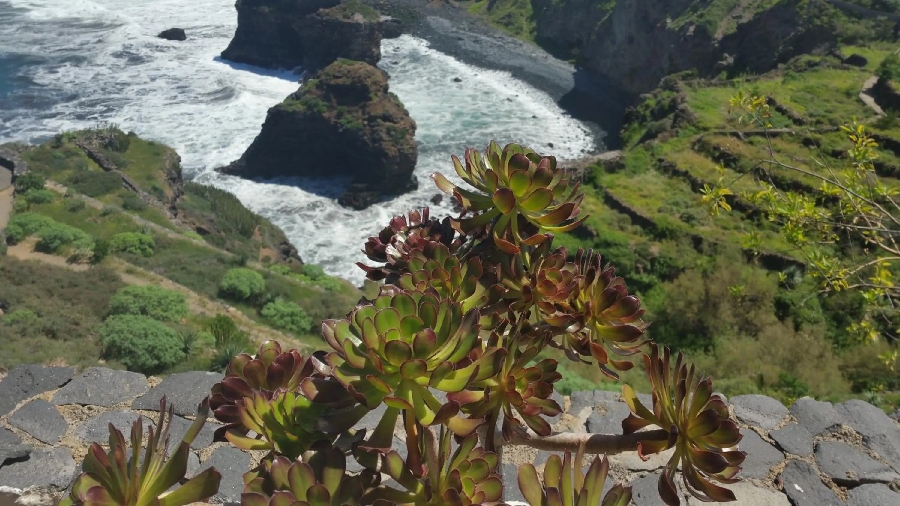 Beach in Apartamentos Playa de Los Roques