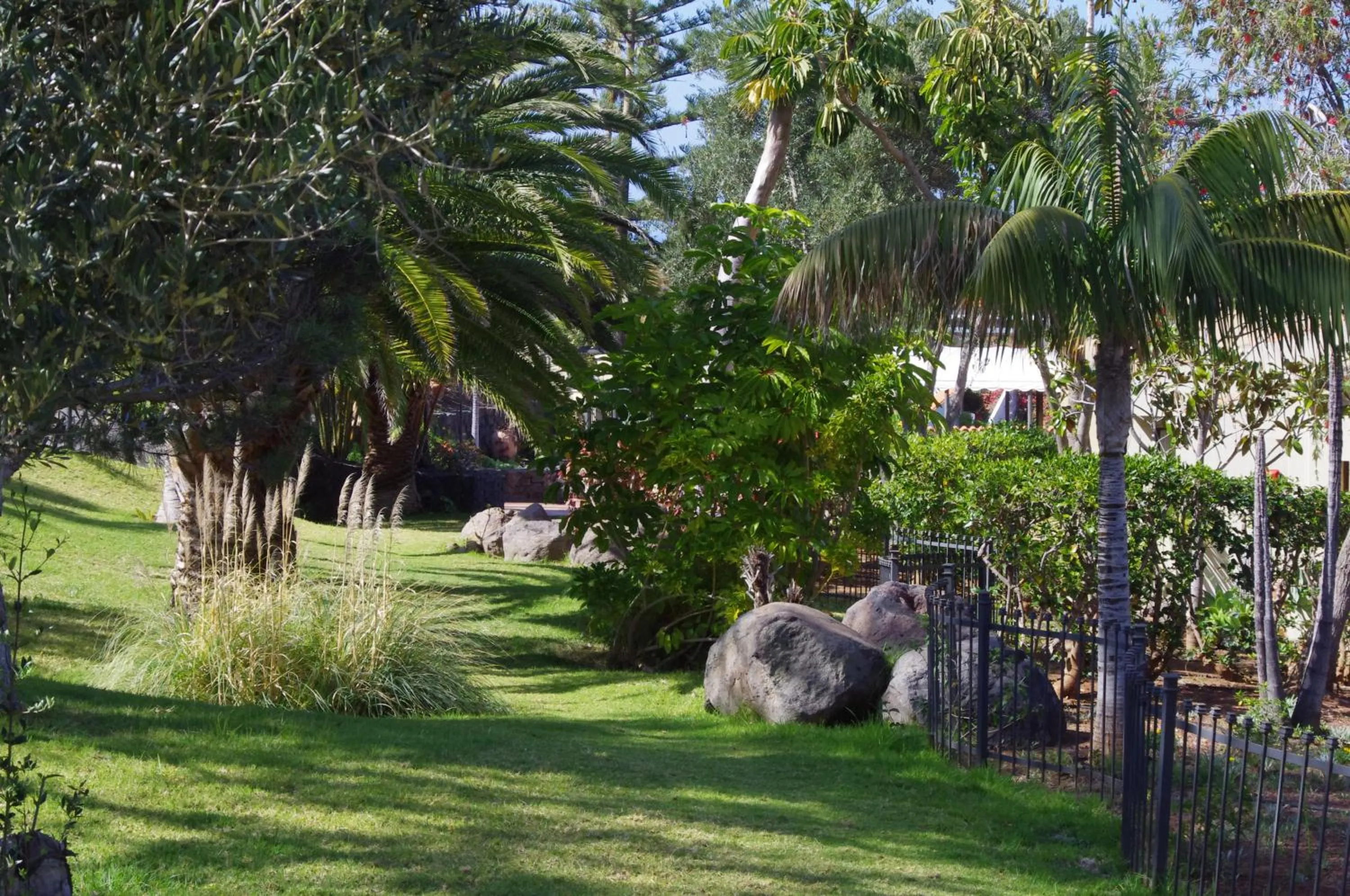 Garden in Apartamentos Playa de Los Roques