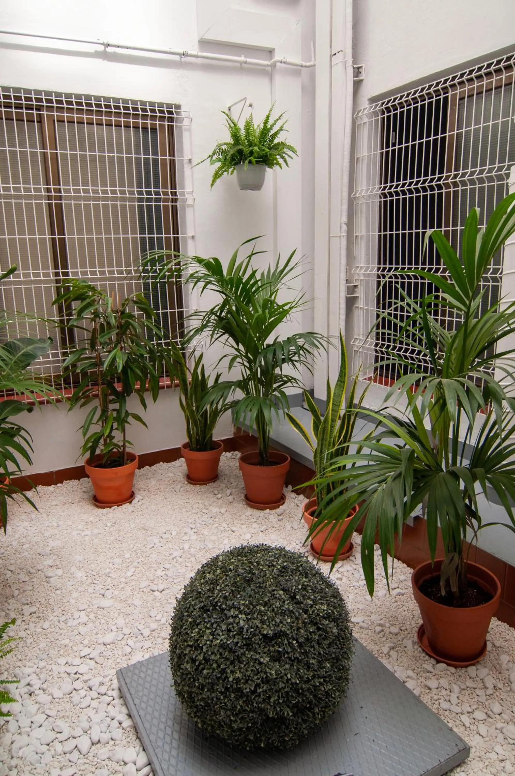 Garden view in Kabul Party Hostel Barcelona