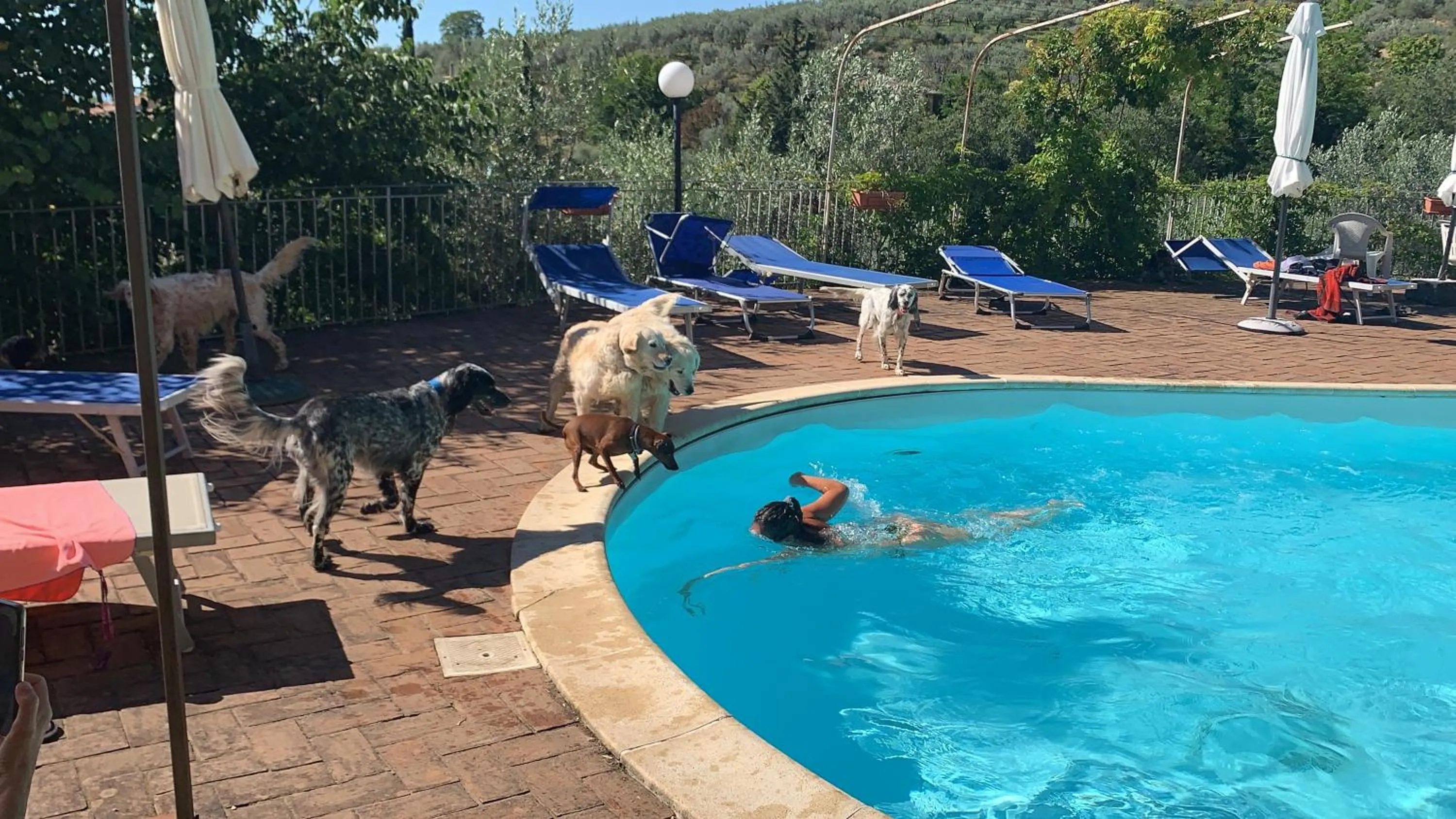 SetterHouseAgriHotel